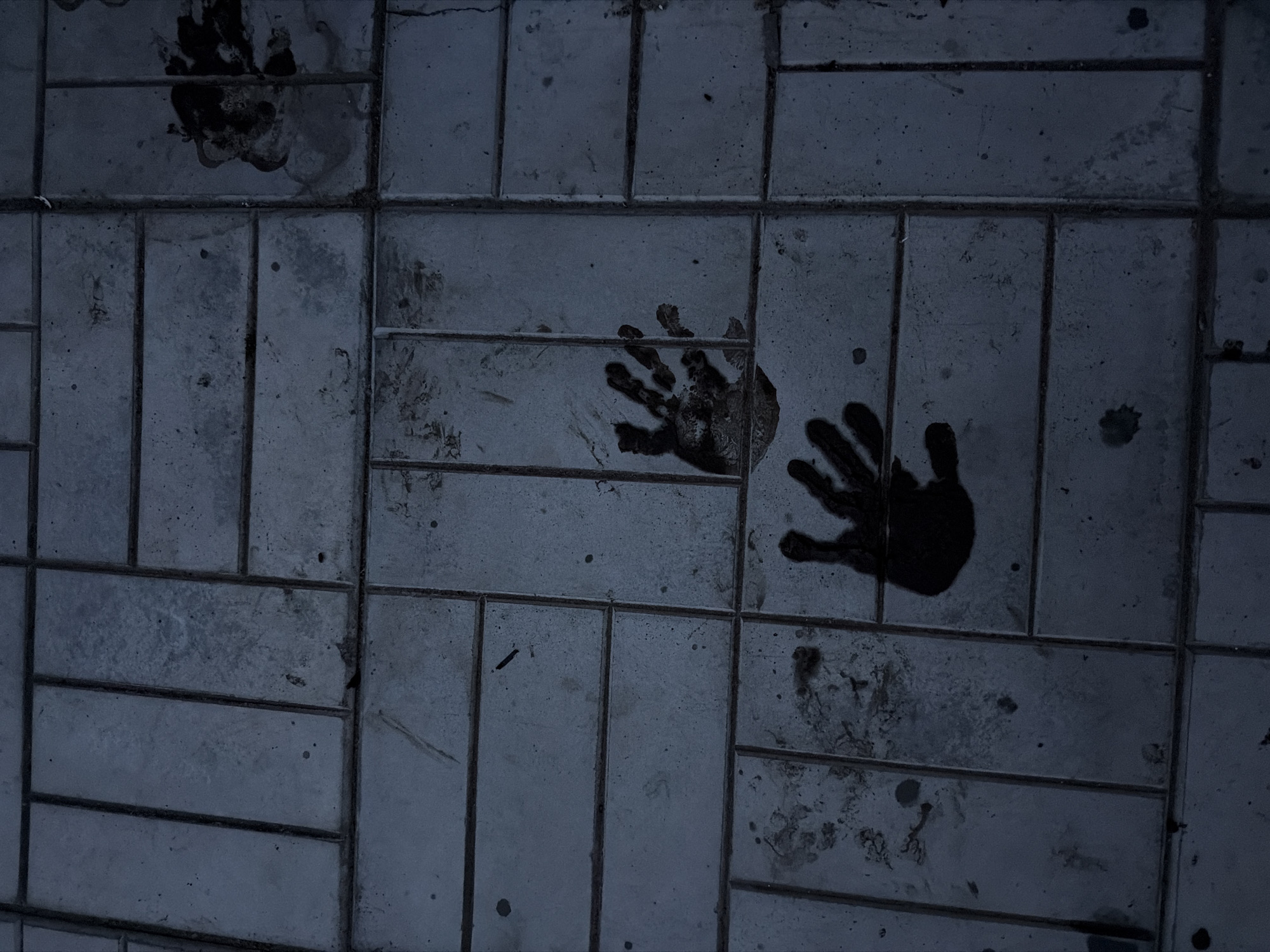 Two dark handprints are visible on a paved surface consisting of rectangular grey stones. The handprints appear to be made of a dark, viscous substance, possibly mud or paint. One handprint is larger and more defined, with clearly visible fingers, while the other is smaller and less distinct. The paving stones are laid in a pattern of alternating horizontal and vertical orientations. The surrounding area is dimly lit, suggesting it may be nighttime or an overcast day. There are also some scattered smudges and faint footprints on the stones, indicating recent activity. The location is identified as Palimovka, Russia.
