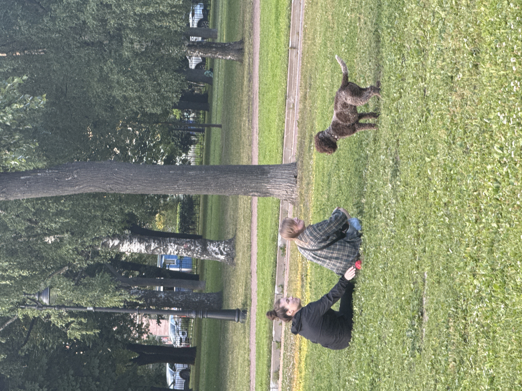Two people and a dog are in a park. The dog is a medium-sized, brown, curly-haired breed, and it is walking on the grass. One person, wearing a black hooded sweatshirt, is sitting on the grass and looking at the dog. The other person, wearing a plaid shirt and jeans, is also sitting on the grass and looking at the dog. The park has a lot of trees and green grass. There are also some cars and buildings in the background. The sun is shining, and the weather appears to be pleasant. The image was taken during the day. The scene suggests a casual outing in the park with a pet. The people seem relaxed and engaged with the dog. The location context of Saint Petersburg, Russia, is provided but not directly evident from the visual cues within the image itself. No visible text is present in the image.