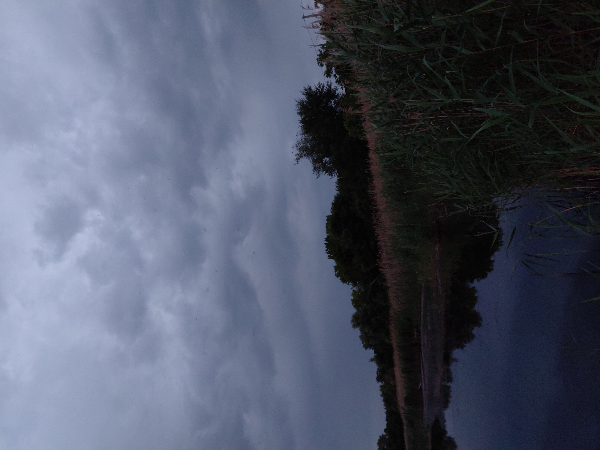 This is a vertical, medium-shot, eye-level, outdoor photograph taken at dusk, likely in Ustyvytsia, Ukraine, depicting a natural scene. The sky is predominantly filled with dark, heavy clouds, creating a somber and overcast atmosphere. Below the clouds, a line of trees forms a dense, dark silhouette across the horizon. In the foreground, the scene transitions to a body of dark water, reflecting the muted colors of the sky and vegetation. To the right of the water, tall reeds and grasses grow, their green and brown stalks creating a textured foreground. The overall impression is one of quietude and the approaching evening.