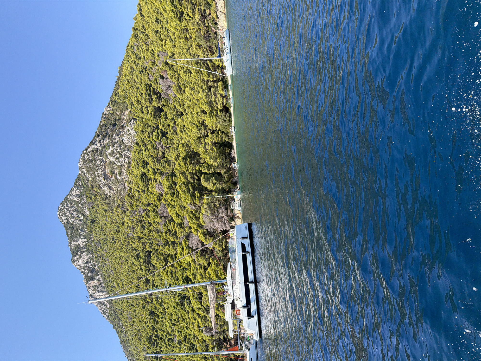 A fleet of sailboats is anchored in the clear blue water of Municipal Unit of Kalamos, Greece. The boats are positioned close to a tree-covered mountain that rises steeply from the shoreline. A white catamaran with several people on deck is in the foreground. The water is calm, with gentle ripples reflecting the sunlight. The sky is a clear, bright blue. The scene appears peaceful and idyllic, with the natural beauty of the landscape dominating the composition. The presence of the sailboats suggests a recreational or leisure setting.