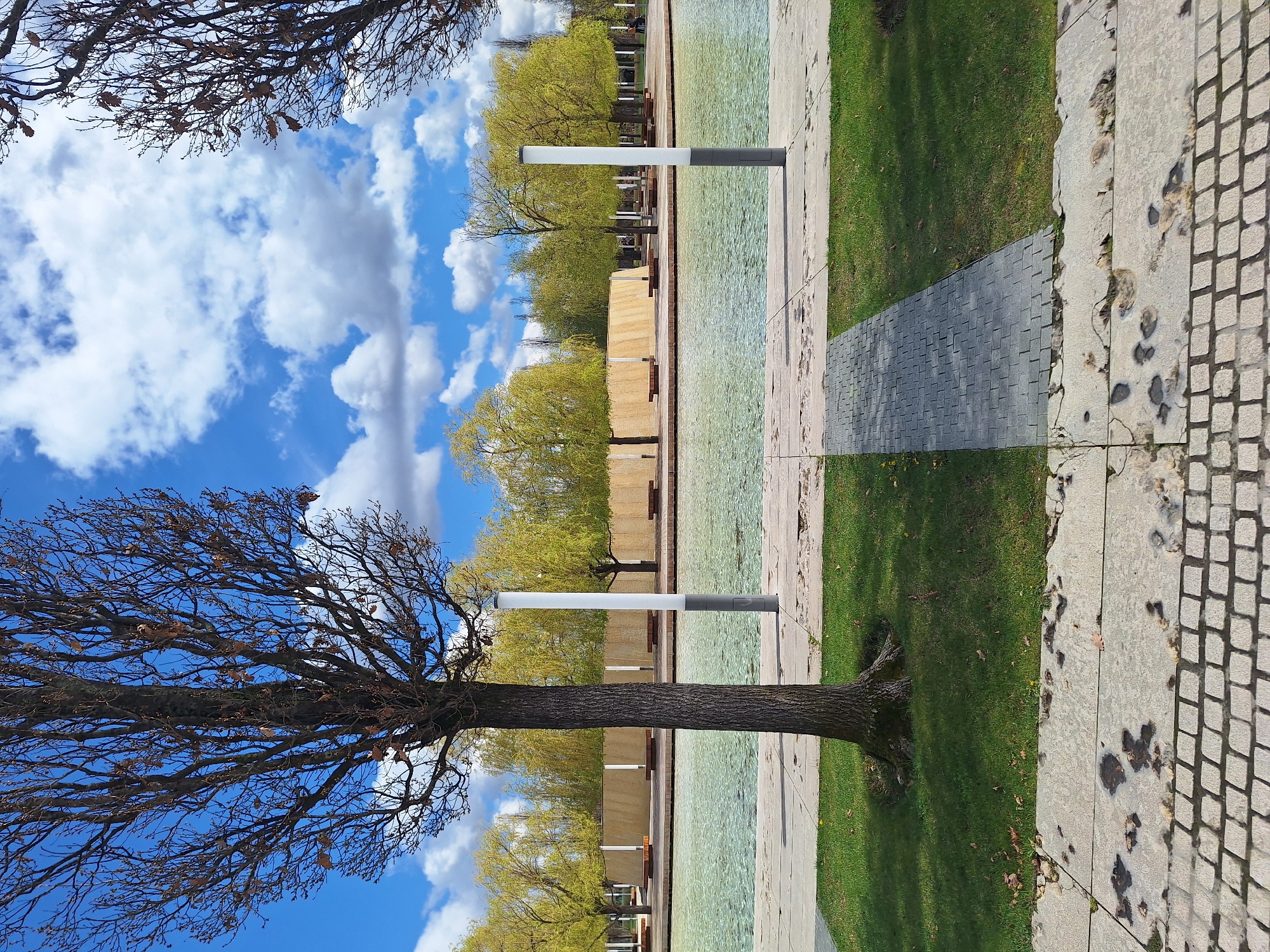 The image depicts a city park setting in Unknown, Unknown. A tree with bare branches occupies the left side of the frame against a blue sky with fluffy white clouds. A row of light green trees line the center, their foliage suggesting early spring or late autumn. Modern, sleek light fixtures stand parallel to the trees. In the midground lies a shallow pool of water. A strip of grass runs alongside a pavement made of concrete squares. The scene is bathed in sunlight, casting shadows from the trees and fixtures.