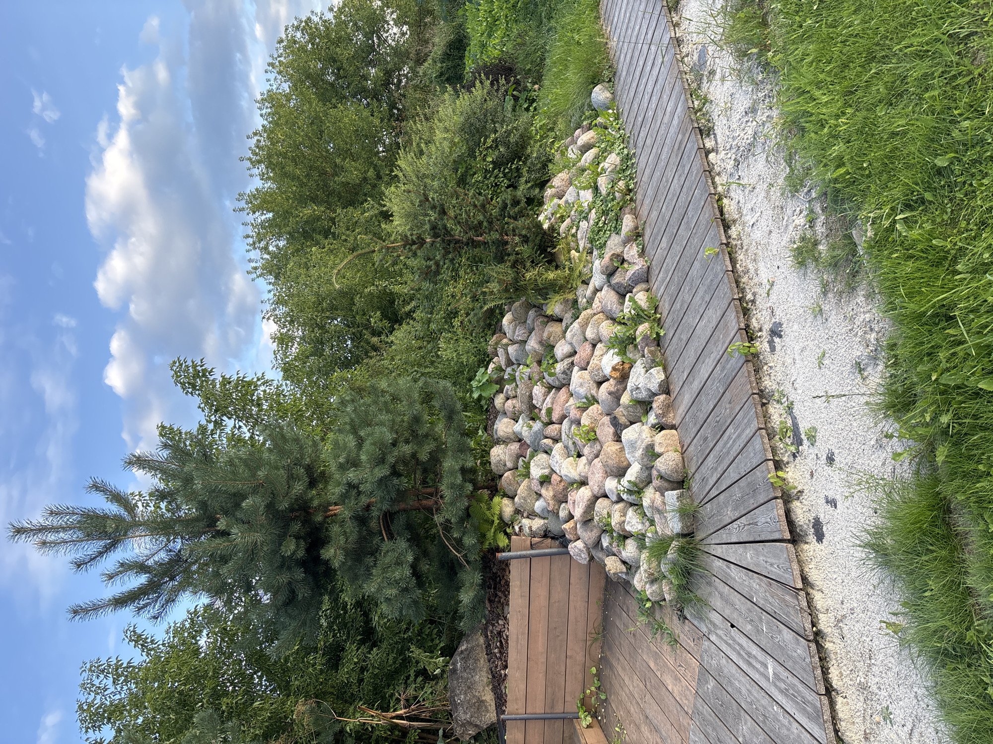 The image depicts a garden landscape with a wooden pathway winding through it. To the left, a raised wooden planter box is visible, filled with dark soil and mulch. In front of the planter, a dense cluster of large, smooth stones of various sizes and colors (grays, pinks, whites) forms a decorative mound. A young pine tree with dark green needles stands tall behind the mound of stones, its trunk partially obscured. Surrounding the stones and extending to the right are lush green bushes and trees. The wooden pathway is constructed of weathered gray planks laid out in a semi-circular pattern, bordering a strip of pale gravel and then a well-maintained lawn. The sky above is blue with scattered white and gray clouds. The scene appears to be a park or a landscaped garden in Zvenigorod, Russia, given the style of landscaping and vegetation. No people or animals are present in the image.