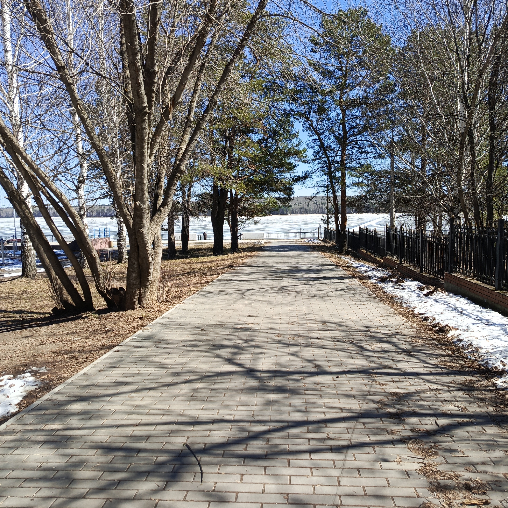 The image depicts a paved pathway in Chaikovsky, Russia, likely in early spring. The path is constructed of rectangular gray pavers and is flanked by trees on both sides. The trees cast shadows across the path. To the left of the path is a grassy area with bare trees and remnants of snow. Beyond the trees is a partially frozen body of water, possibly a lake or a wide river, with a metal railing along the shoreline. On the right side of the path, there's a brick retaining wall topped with a black metal fence. Patches of snow are visible alongside the fence. The sky is clear and blue, indicating a sunny day.