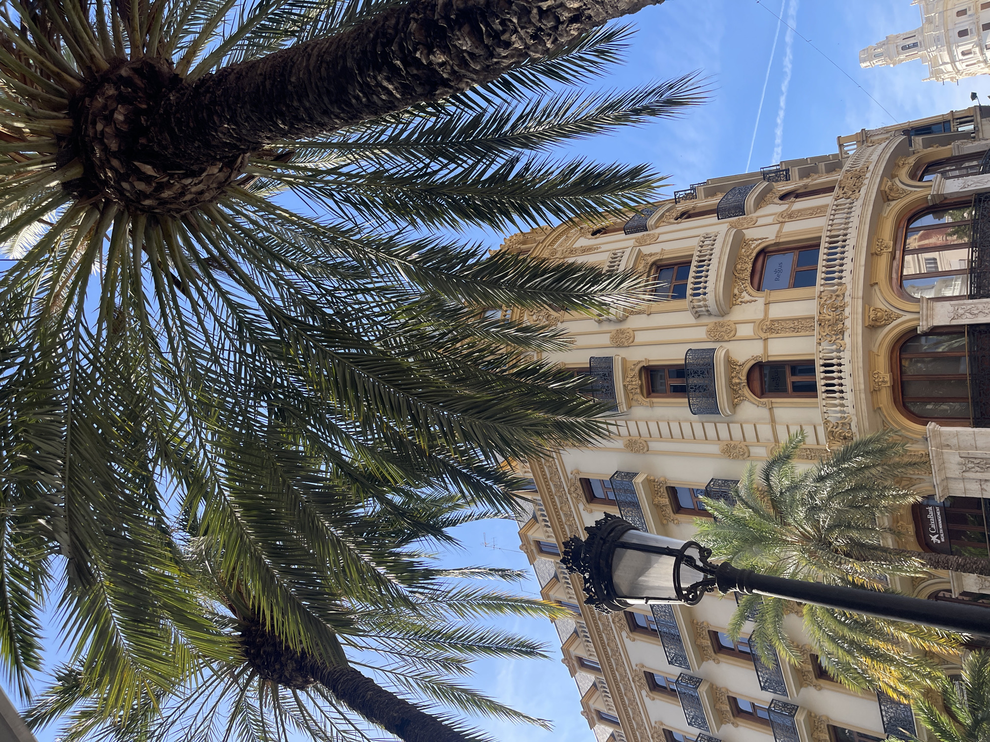 The image depicts a vibrant urban scene on a clear, sunny day in València, Spain, specifically on Plaça de l'Ajuntament. In the foreground, two large palm trees frame the view, with their textured brown trunks and numerous green fronds prominently displayed against a bright blue sky. A black, ornate cast-iron street lamp with a glass lantern stands in the lower-left to central foreground.
The central subject is a grand, multi-story building with a light cream-colored facade, characterized by elaborate Baroque-style architectural ornamentation, including decorative pilasters, cornices, and intricate scrollwork. The building features numerous windows with dark frames and wrought-iron balconies on multiple levels. A distinctive curved corner is visible towards the right. On the ground floor, a "CaixaBank Wealth Management" sign is present, while an upper-floor window displays a "Regus" sign. The building's roof is dark grey and sloped, with several dormer windows visible, and a small antenna is perched on the rooftop.
In the far right background, partially obscured by the main building and palm fronds, a distinctive white, multi-tiered tower with a dome belonging to the historic Post Office Building (Palau de les Comunicacions) is visible. The bright blue sky shows a few wispy white contrails from an aircraft. No people are discernible in the image.