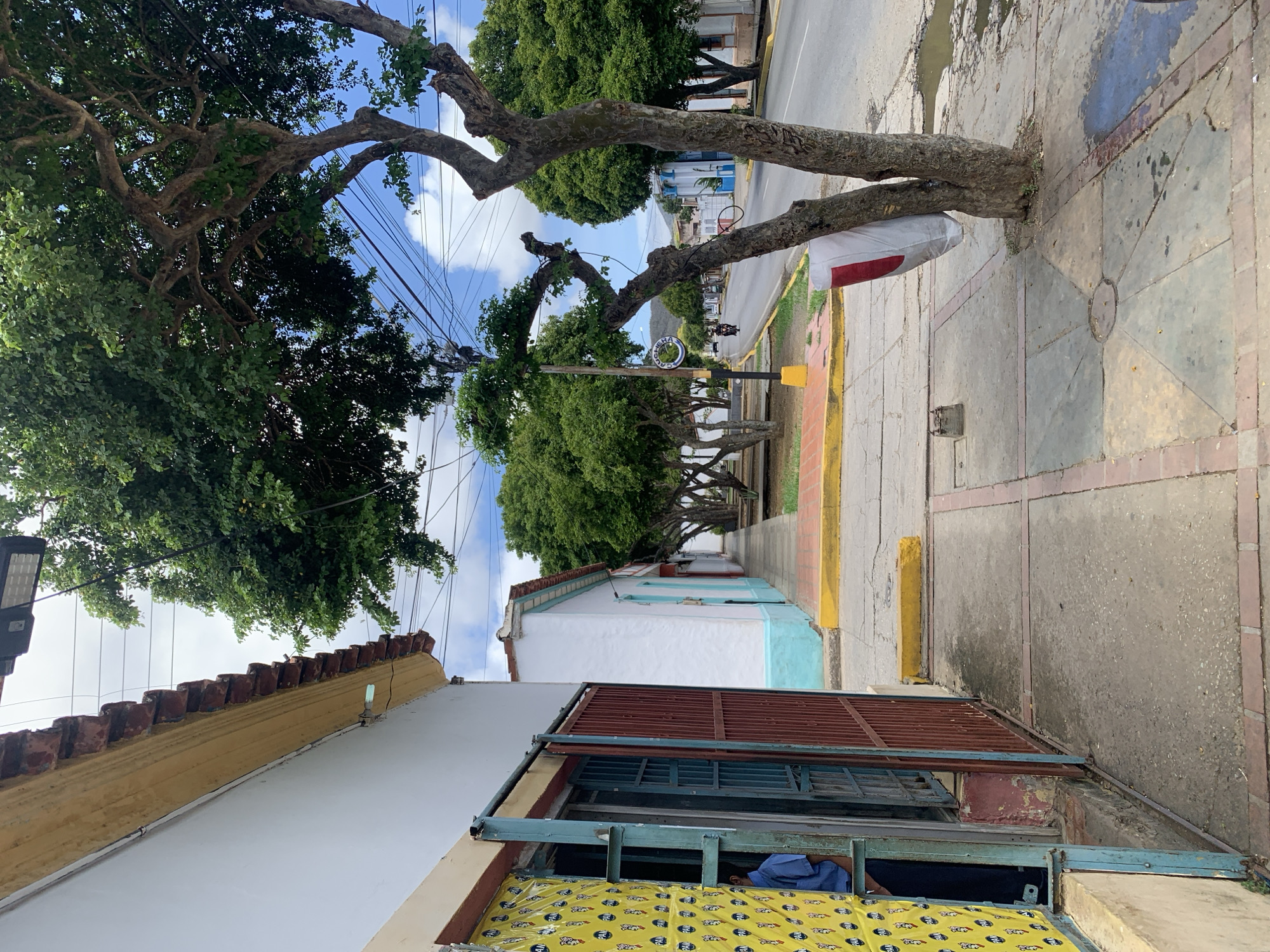 This image depicts a street scene in Santa Ana, Venezuela. On the left side of the frame, a building with a white facade and a yellow-trimmed roof is visible. An open doorway reveals a person in a blue shirt standing inside. The doorway is adorned with a yellow covering featuring a repeating pattern of the "PAN" logo. A red metal gate is partially open, and a blue metal frame surrounds the entrance.
The sidewalk in front of the building is paved with concrete tiles and bordered by red brick. A large tree with gnarled branches grows on the sidewalk, its base partially enclosed by a concrete planter. A white bag with a red stripe is draped over one of its branches.
Across the street, a road stretches into the distance, lined with trees and more buildings. The road has a yellow curb and appears to have some puddles on its surface. A red bicycle is parked on the side of the road, and a motorcycle is seen in motion further down. Overhead, power lines crisscross the sky, which is partly cloudy. The overall environment suggests a warm, possibly humid climate.