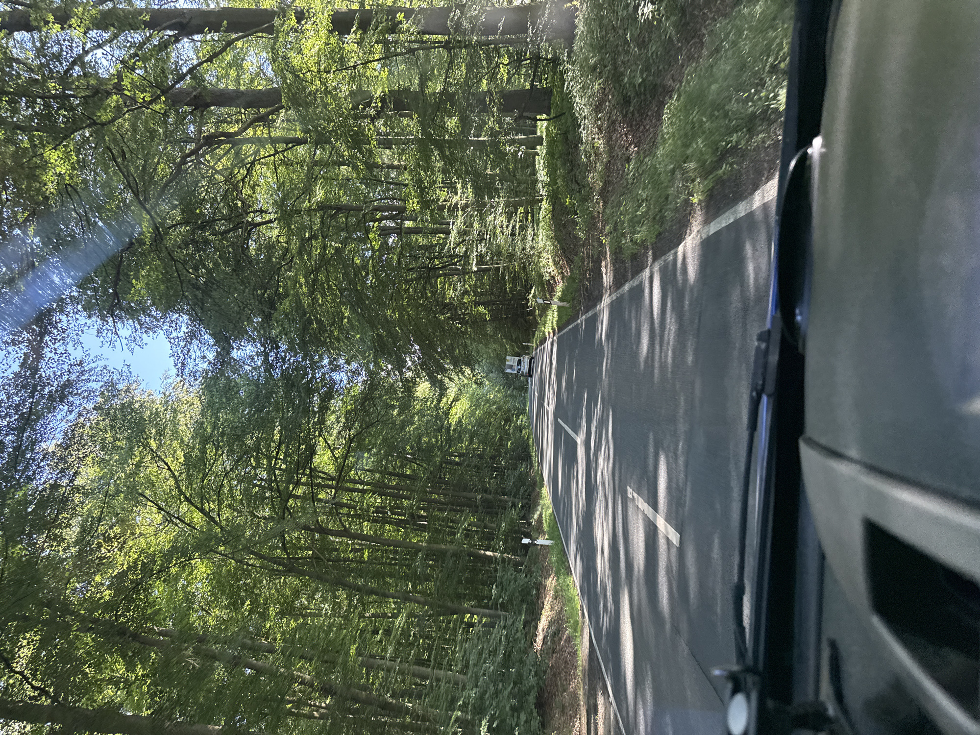 The image shows a view from inside a vehicle looking out at a road going through a forest. The road is paved and has white markings. There are trees on both sides of the road, forming a canopy overhead. Sunlight filters through the leaves, casting shadows on the road. In the distance, there are two vehicles on the road, a car and a larger vehicle, possibly a van or truck. The scene appears to be a rural area in Germany, given the road markings and the presence of forest. The time of day appears to be daytime, with bright sunlight. The image quality is good, and the details are clear. The location is identified as Volpertshausen, Germany.