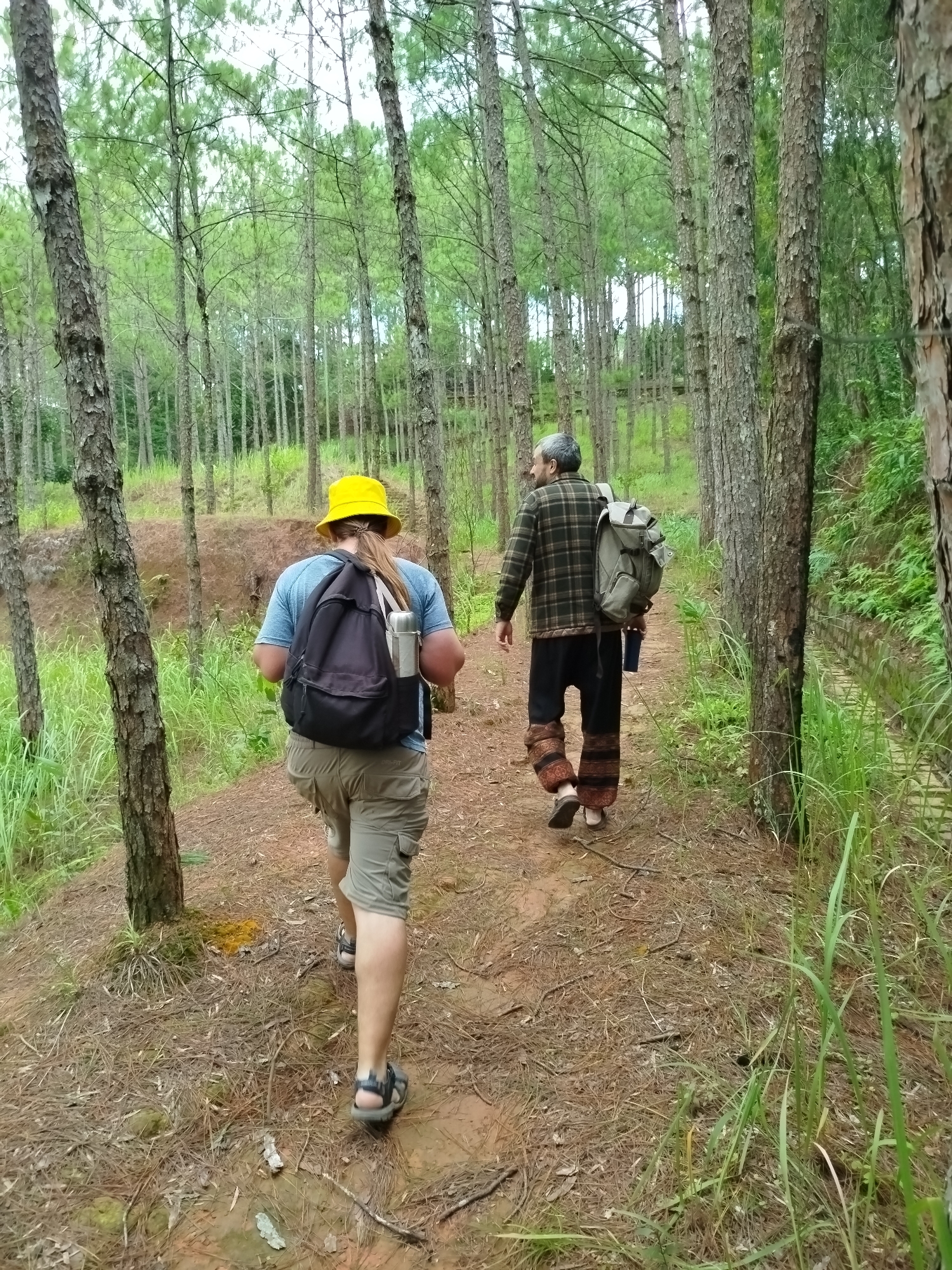 Two individuals are walking away from the camera on a dirt path through a pine forest. The person in front is wearing a blue t-shirt, khaki shorts, sandals, and a yellow bucket hat, and is carrying a black backpack with a silver water bottle attached. The person behind is wearing a plaid shirt, black pants with patterned leg warmers, and sandals, and is carrying a backpack and a dark blue water bottle. The forest is dense with tall, slender pine trees and undergrowth of grass and dry pine needles. To the right of the path, there is a small, lined ditch or drainage channel. The overall environment suggests a rural or natural setting outside of the city center of Da Lat, Vietnam, likely a hiking trail or forested area.