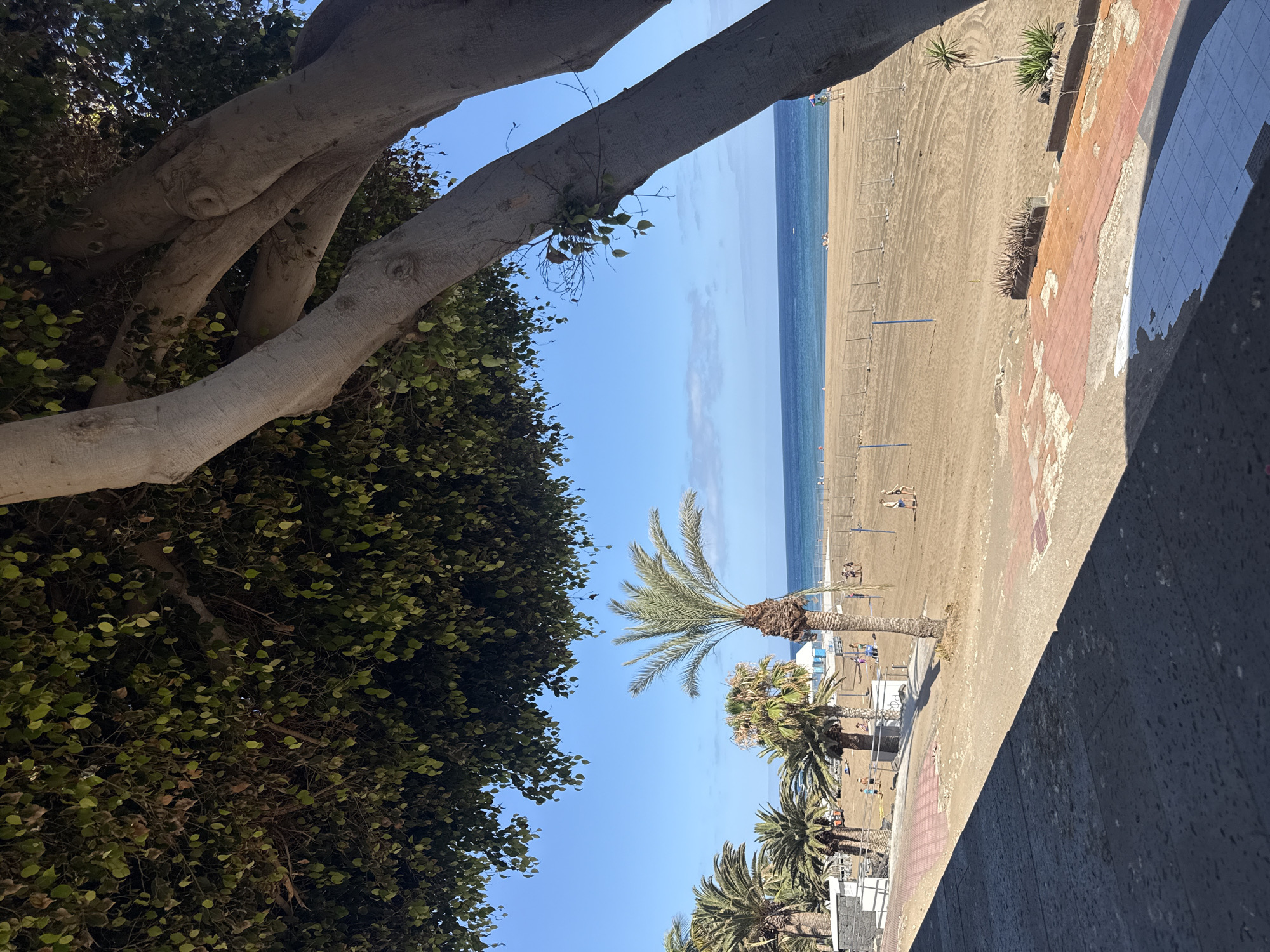 This photo was taken on a sunny day in Tías, Spain, overlooking a beach along the Atlantic Ocean. The view is framed by trees on the left and a building on the right. The beach has light brown sand with visible footprints and is populated with palm trees and beach umbrellas. The ocean is a clear, pale blue. In the distance, several people can be seen on the beach and in the water. The building is a low-rise structure.