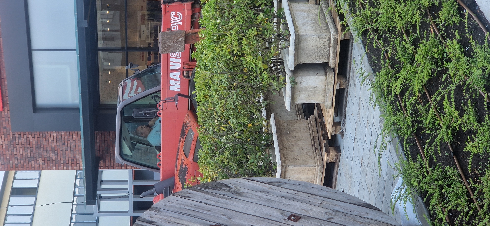 The image captures an outdoor urban scene in Burgas, Bulgaria, during daytime. A large red telehandler or forklift-like machine is prominently featured in the middle ground, positioned with its cab facing towards the viewer's left. The words "MANIS" and "PIC" are clearly visible on its side, likely part of the brand "MANISCOPIC". Inside the cab, a man with short grey hair, wearing a light blue polo shirt, is seated, looking forward with a neutral expression.
To the right of the machinery, a row of green bushes and smaller shrubs is planted in dark soil, suggesting recent landscaping. Adjacent to these plants, several large, grey, concrete elements, resembling planters or decorative architectural pieces, are stacked on wooden pallets. A paved walkway extends from the middle ground towards the right foreground.
In the bottom-left foreground, a large, weathered wooden cable spool or drum is partially visible. The background features modern architecture, including a building with large, reflective windows that show interior lights, and another section with reddish-brown brickwork. The scene suggests an ongoing construction, landscaping, or renovation project in a developed urban area under clear, bright weather conditions.