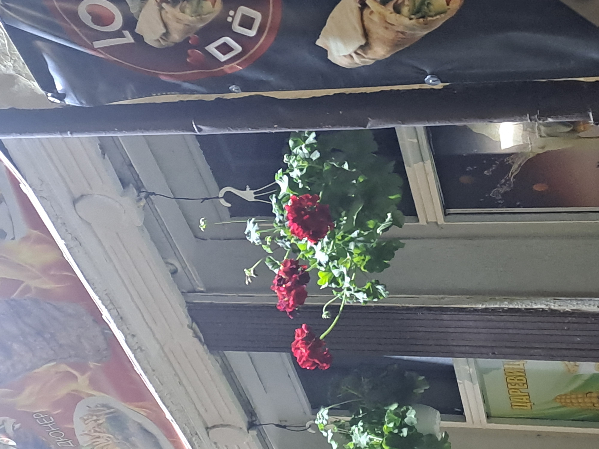 A low-angle, eye-level shot captures a store awning and hanging plants. A red and brown circular sign with a wrap design, possibly advertising food, is visible. Below, a white facade supports flower pots with red geraniums. A second sign with the Cyrillic word "ЦАРЕВИЧ" is noticeable to the lower right. The urban environment features a mix of signs and architectural elements.