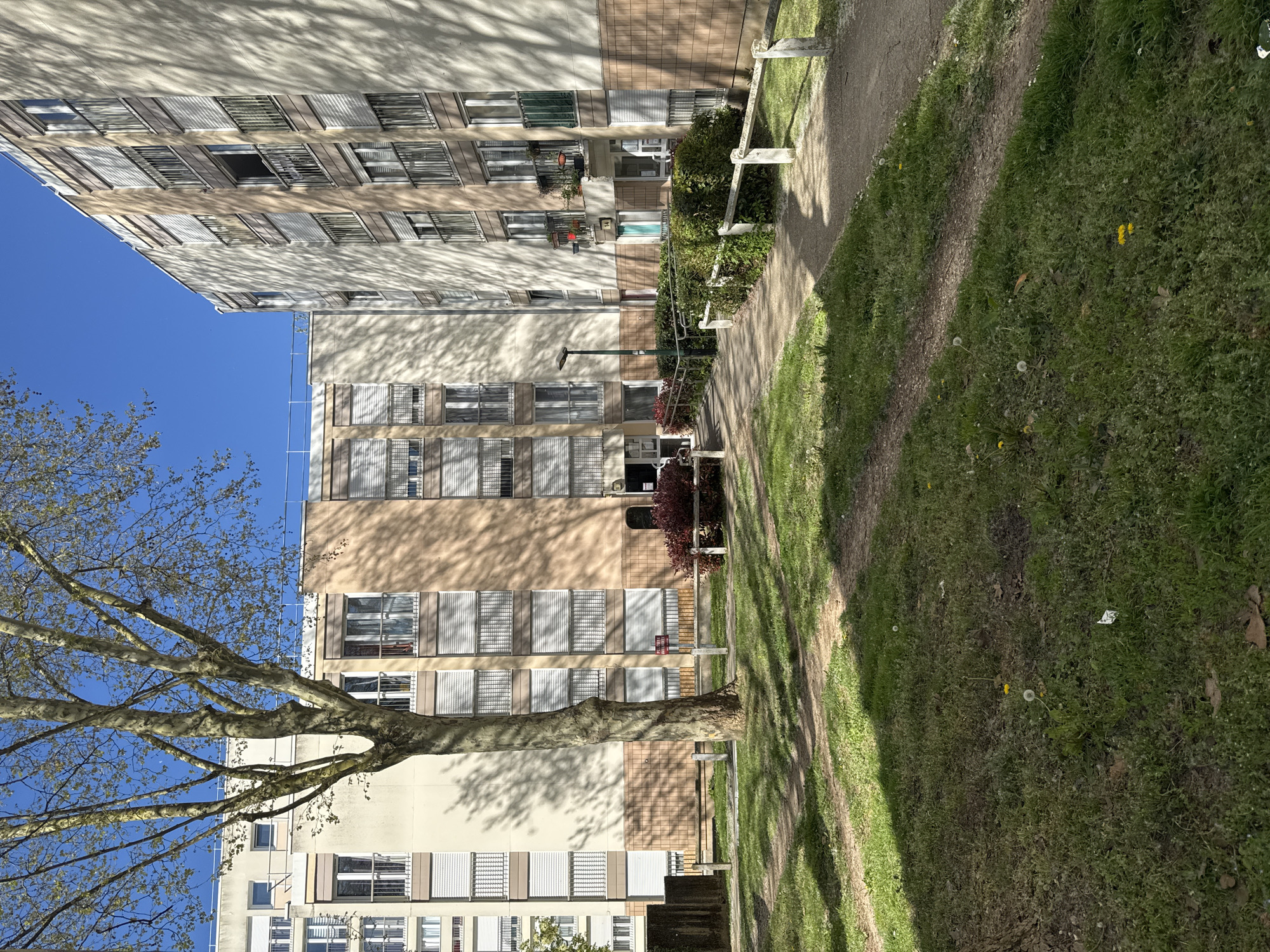 The image depicts a residential scene in Les Ulis, France. The scene is dominated by several multi-story apartment buildings with beige and brown facades. Many windows are covered with white blinds. A mature tree stands in the foreground, its bare branches extending towards a clear blue sky. Shadows from the tree are cast across the building's facade and the grassy area in the foreground. A dirt path runs alongside the buildings, bordered by grass and vegetation. A white wooden fence separates the path from the building. No people are visible in the image.