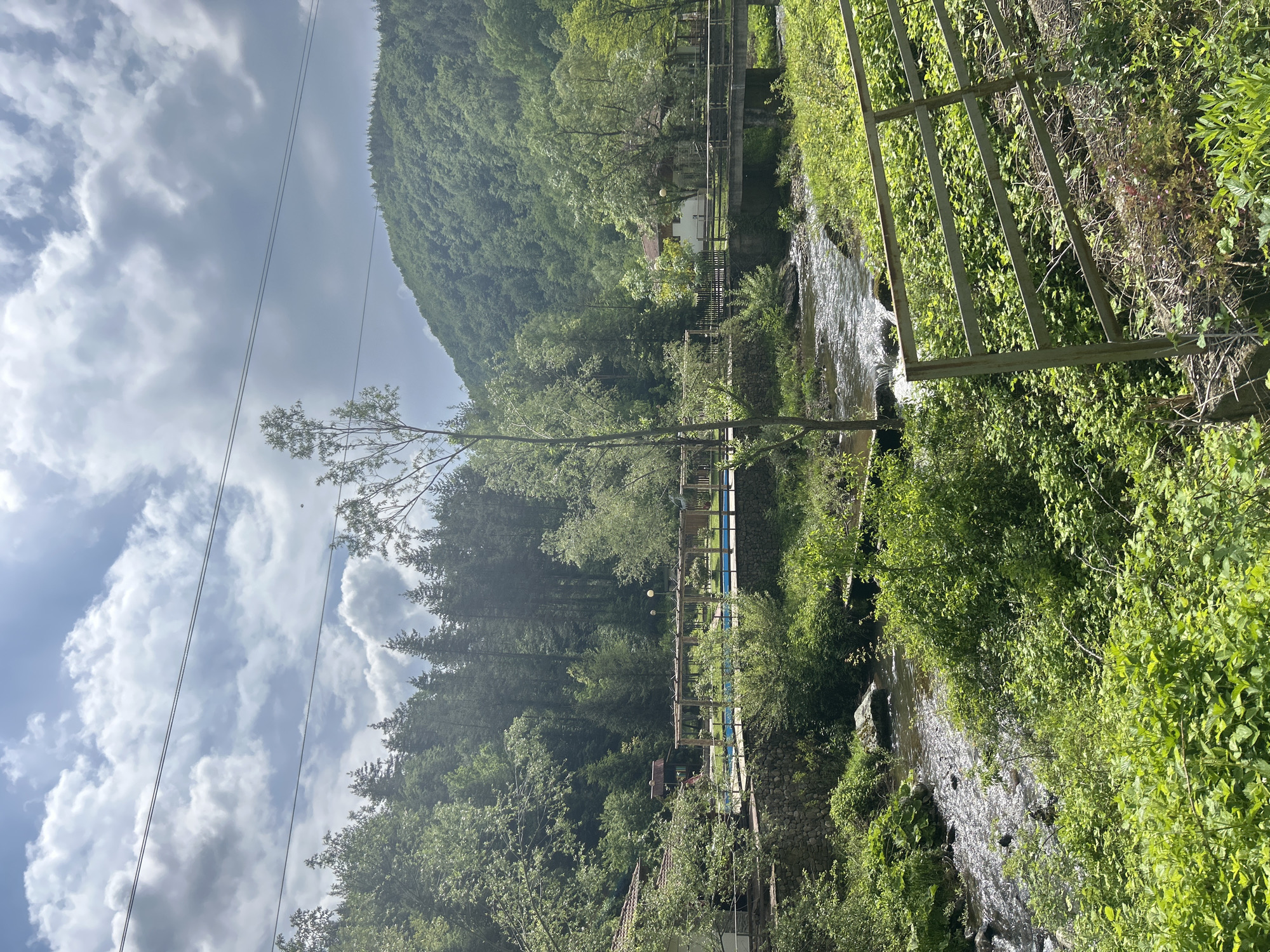 The image depicts a natural landscape. A river runs through a lush green environment with dense vegetation. On the sides of the river, there's an abundance of trees and shrubs. A mountain covered with greenery is visible in the background. Electrical power lines can be seen running across the sky. It is an overcast day. The location appears to be in the countryside, far from any urban area.