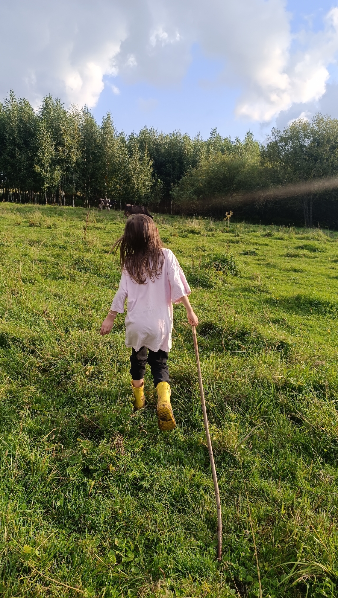 A young girl with long brown hair, wearing a light pink t-shirt and black pants, walks away from the camera through a grassy field. She has yellow boots on and is holding a thin stick. In the background, a line of trees is visible, and beyond that, several cows graze. The sky is blue with scattered clouds. The location is identified as the city of Karsha, Russia.
