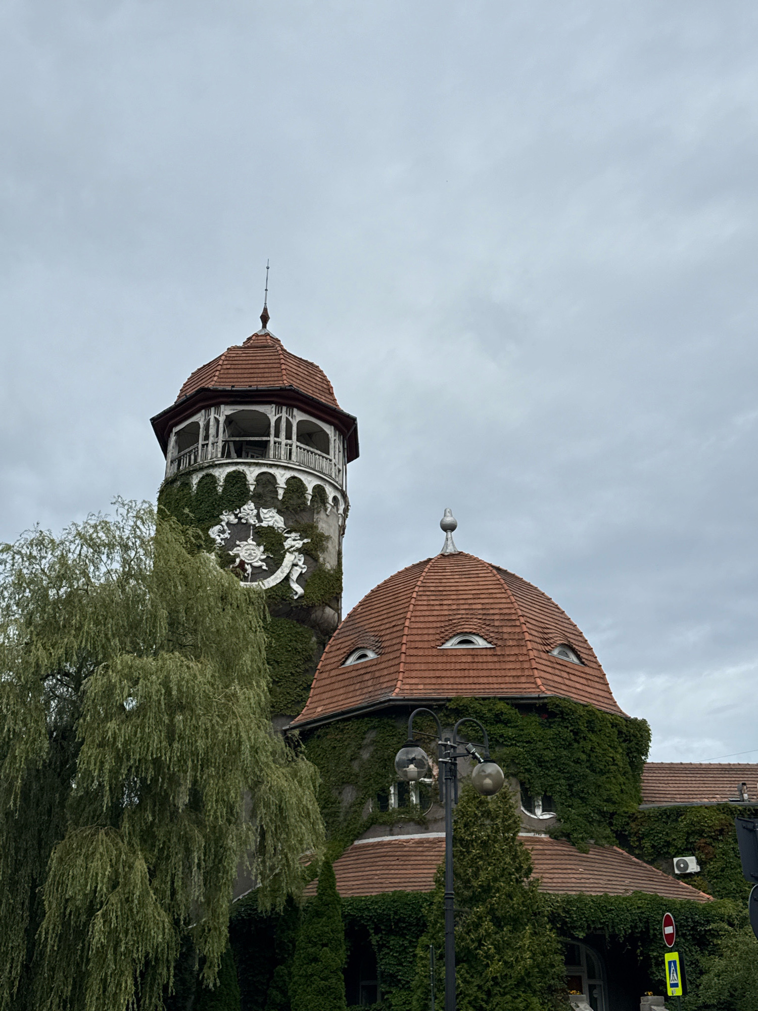A low-angle, full-shot photograph captures a portion of a gothic-style building in Svetlogorsk, Russia, on a cloudy day. The building features a prominent tower and a domed section, both covered in ivy. The tower, on the left, has a red tiled roof and a decorative white balcony with arched openings. A circular relief is visible on the tower's stone facade, partially obscured by the ivy. The domed section, to the right, also has a red tiled roof and distinctive window shapes that resemble eyes. A weeping willow tree with dense foliage stands in the foreground, partially obscuring the lower portion of the tower. A lamppost with two glass globes is positioned in front of the domed section. The sky is overcast and a pale gray.
