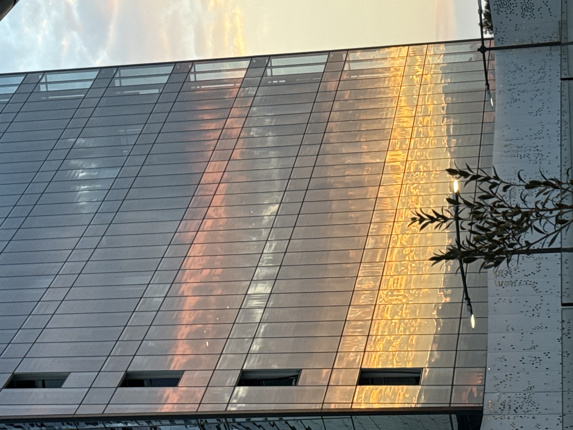 The image captures a modern glass-paneled skyscraper in the city of Puebla, Mexico, at either sunrise or sunset. The building's facade prominently reflects the sky, displaying a vibrant horizontal band of intense orange and yellow light at its lower sections, transitioning upwards to a band of pink and red clouds. The actual sky, visible to the right of the building, shows a lighter gradient of pale blue and yellow. Several dark, rectangular window openings are visible on the left side of the building's grid-patterned glass exterior. In the foreground, a dark-leaved shrub stands partially silhouetted. Behind the shrub, a low, light-colored wall or architectural element is visible, featuring an irregular pattern of small, dark perforations. A single, illuminated streetlamp with a white light extends horizontally above this perforated wall. No individuals or vehicles are present within the frame.