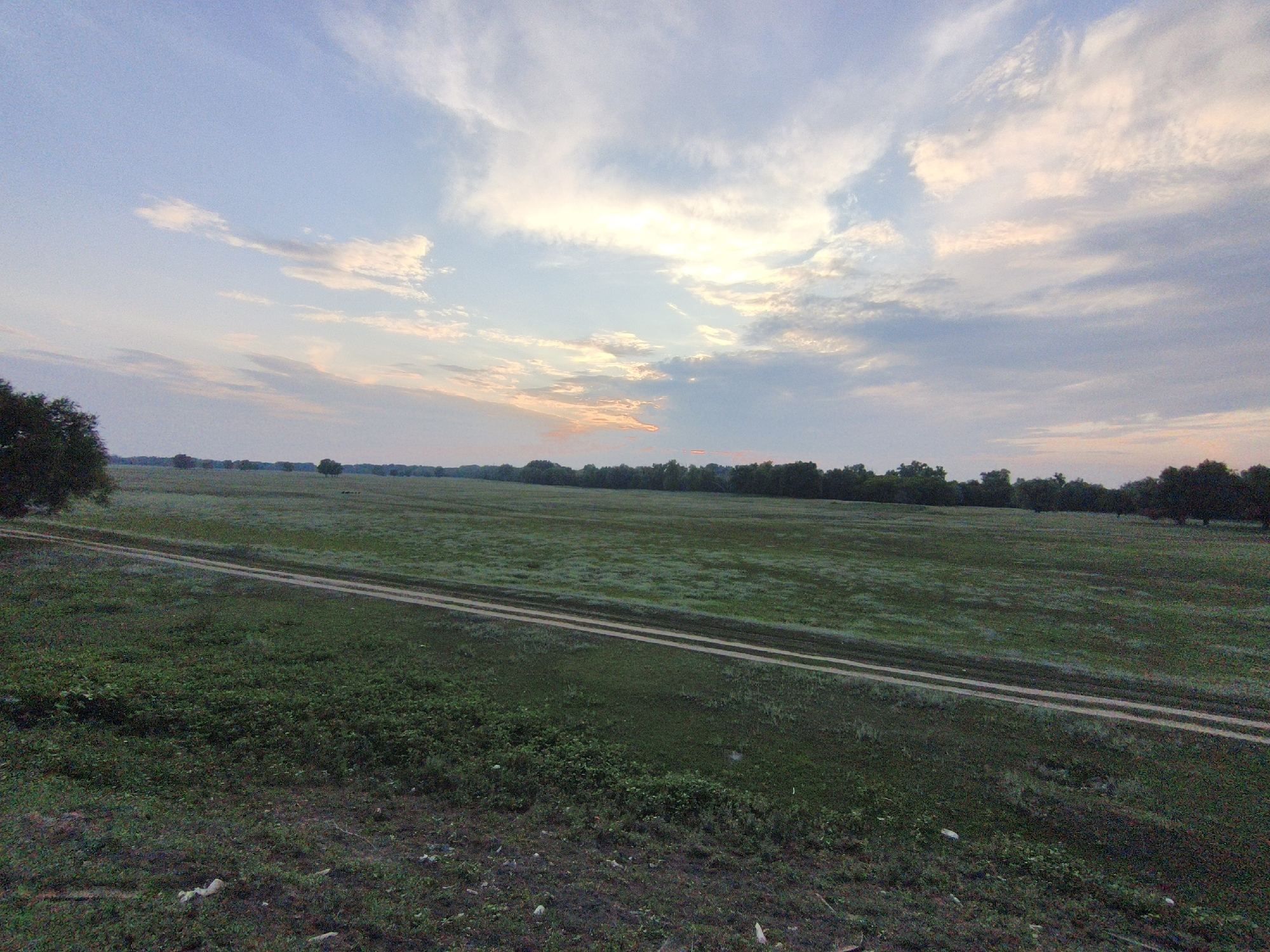 A wide, panoramic shot captures a vast, green pasture under a sky filled with soft, wispy clouds. The sun is low in the sky, casting a warm glow and illuminating the clouds with hues of orange and yellow. A dirt road, marked by two parallel tracks, cuts across the middle of the pasture, leading the eye towards the horizon. The horizon itself is lined with a dense band of dark green trees, which appear to be a treeline bordering the pasture. In the foreground, the ground is covered in a mix of green grass and darker, rougher terrain. The overall scene is serene and expansive, suggesting a rural or natural landscape. The image depicts the natural environment of Ақсуат ауылдық округі, Kazakhstan, during what appears to be either sunrise or sunset. There are no people or animals visible in the frame.