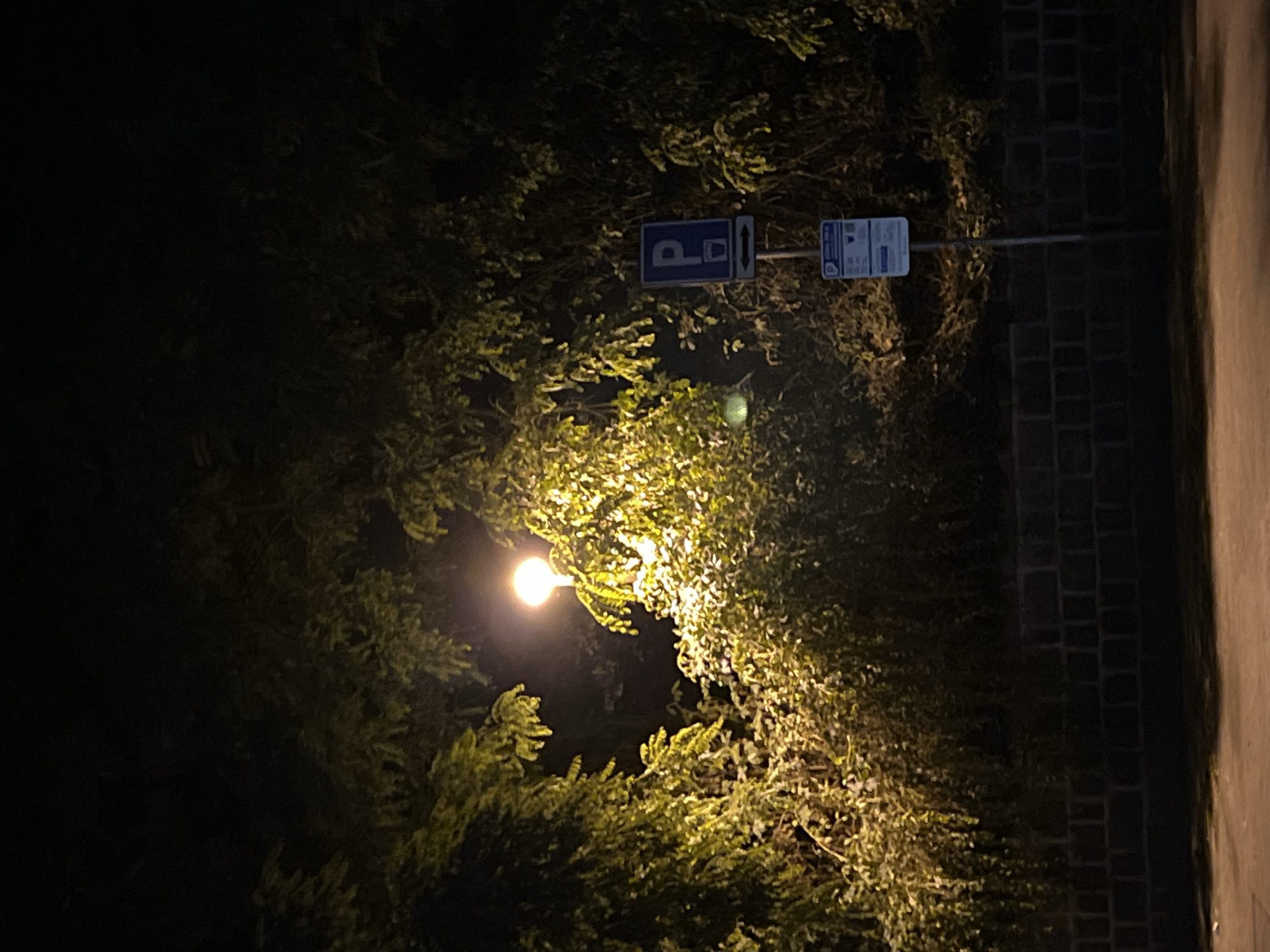 In Nitra, Slovakia, a street lamp illuminates a section of dense foliage at night, casting a warm glow. A parking sign with a blue 'P' symbol and an image of a coffee cup, accompanied by an arrow pointing left, is visible on a metal pole. Below this, another sign with similar markings provides additional information. The background is dominated by the dark silhouettes of trees and a textured brick wall. The foreground shows a paved surface, likely a road or sidewalk.