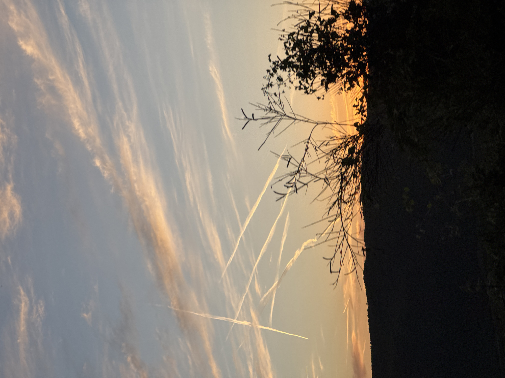 This image depicts a sunset over a hilly landscape in Podostrog, Montenegro. The sky is a blend of pale blue, soft orange, and streaks of pink from the setting sun. Several contrails from airplanes crisscross the sky, creating a striking pattern. In the foreground, silhouetted trees and branches partially obscure the view of the horizon and the dimly lit hills. The overall scene is tranquil and evocative of a peaceful evening.