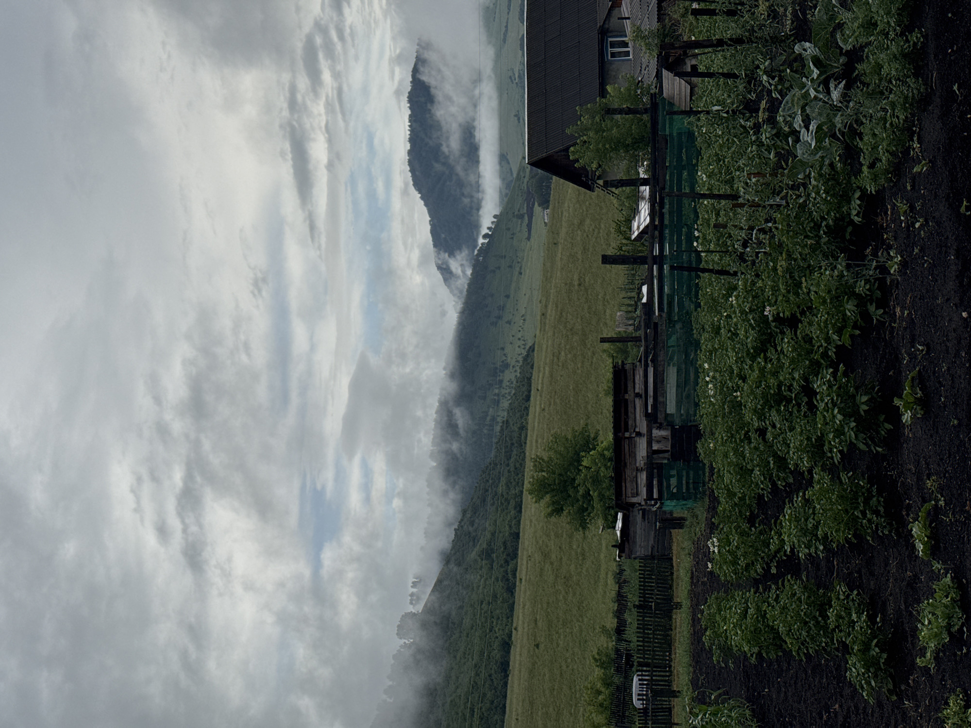 The image captures a rural landscape, likely in Soloneshnoye, Russia, under a cloudy sky. In the foreground, a cultivated garden plot is visible, with rows of green plants, possibly potatoes, growing in dark soil. A wooden fence separates the garden from a cluster of rustic structures, including a simple wooden shed or outbuilding. Beyond the garden and structures, a vast, undulating green field stretches towards a backdrop of mist-shrouded hills and mountains. The hills are covered in dense vegetation, with some trees appearing to emerge from the fog. A small, dark-roofed house with a blue-trimmed window is partially visible to the right, nestled among trees and closer to the foreground structures. The overall impression is one of a tranquil, overcast day in a remote, agricultural setting.