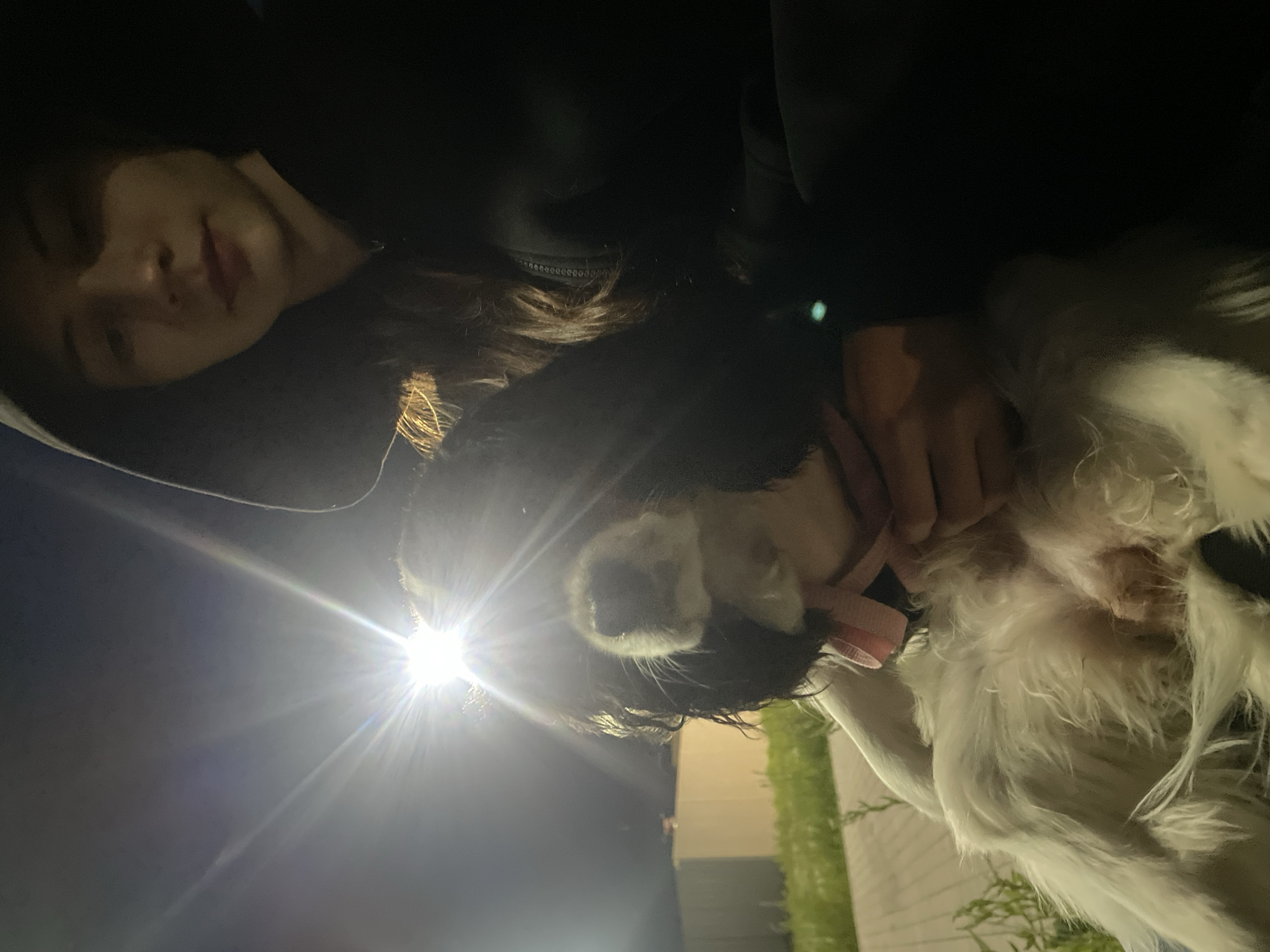 A medium shot captures a person wearing a black hoodie, holding a small dog. The person's face, partially obscured by the hood and the bright light source, is looking towards the camera. The dog, a black and white breed with long fur, is held close to the person's chest, with its tongue slightly out. The background suggests an outdoor setting, possibly a street or public space, with some green vegetation and a building visible. The lighting is harsh, with a strong glare from a light source that appears to be to the left of the frame, creating lens flare and illuminating the scene from the side. The overall ambiance is dark, with the bright light creating a stark contrast. The location is identified as being in the city of Votkinsk, Russia.