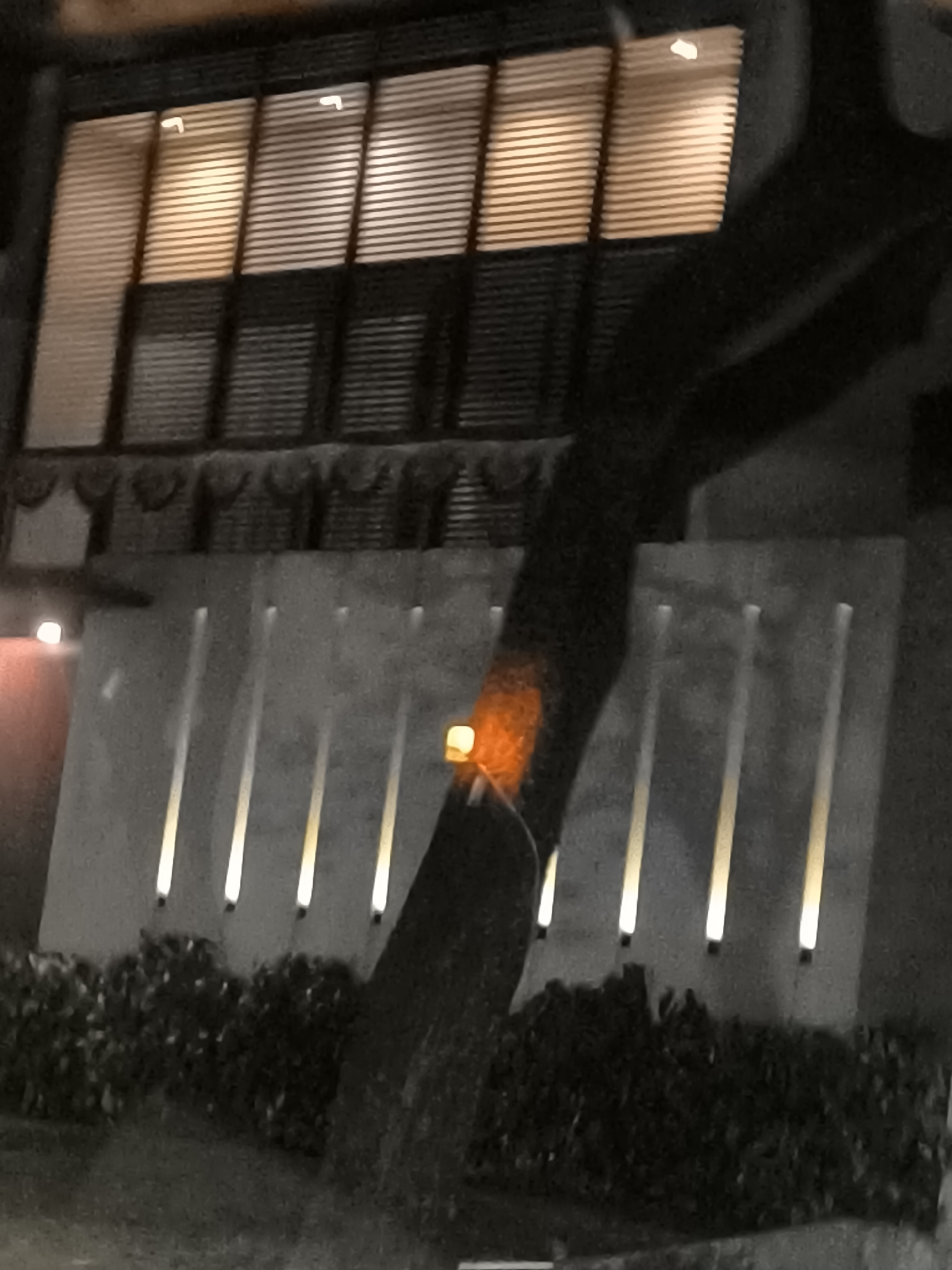 An outdoor scene at night features a large, dark tree trunk in the foreground, partially illuminated by an orange light source attached to it. Behind the tree, a light-colored wall is visible, with several vertical, elongated lights casting a glow upwards. Above the wall, a building with a dark facade has a series of horizontal windows, each fitted with blinds that are illuminated from within by a warm, yellowish light. In front of the wall and below the tree, a dense arrangement of dark green foliage forms a thick hedge. The overall impression is one of a well-lit architectural setting at night, with the natural element of the tree adding a contrasting texture. The image does not contain any identifiable landmarks or clues that would allow for specific identification of its location within Tangerang, Indonesia.