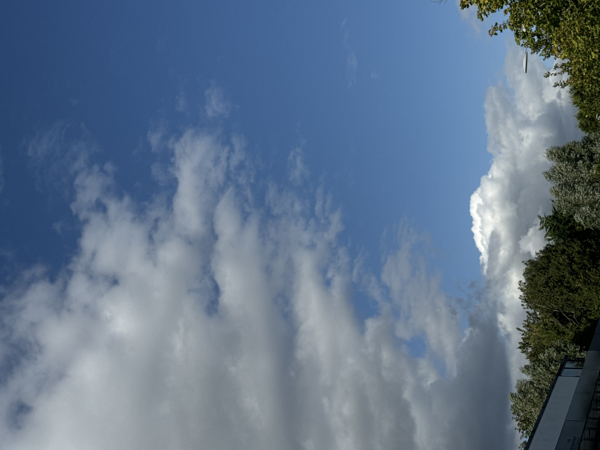 The image depicts a view of the sky and trees in Waterford, Ireland. The sky is predominantly blue with scattered clouds, some of which are dark and heavy, suggesting a possibility of rain. The trees are lush and green, indicative of a temperate climate. In the foreground, the corner of a modern building is visible, with a dark-colored facade and windows. A street lamp can be seen in the upper right portion of the frame. The scene appears to be an outdoor urban or suburban environment.