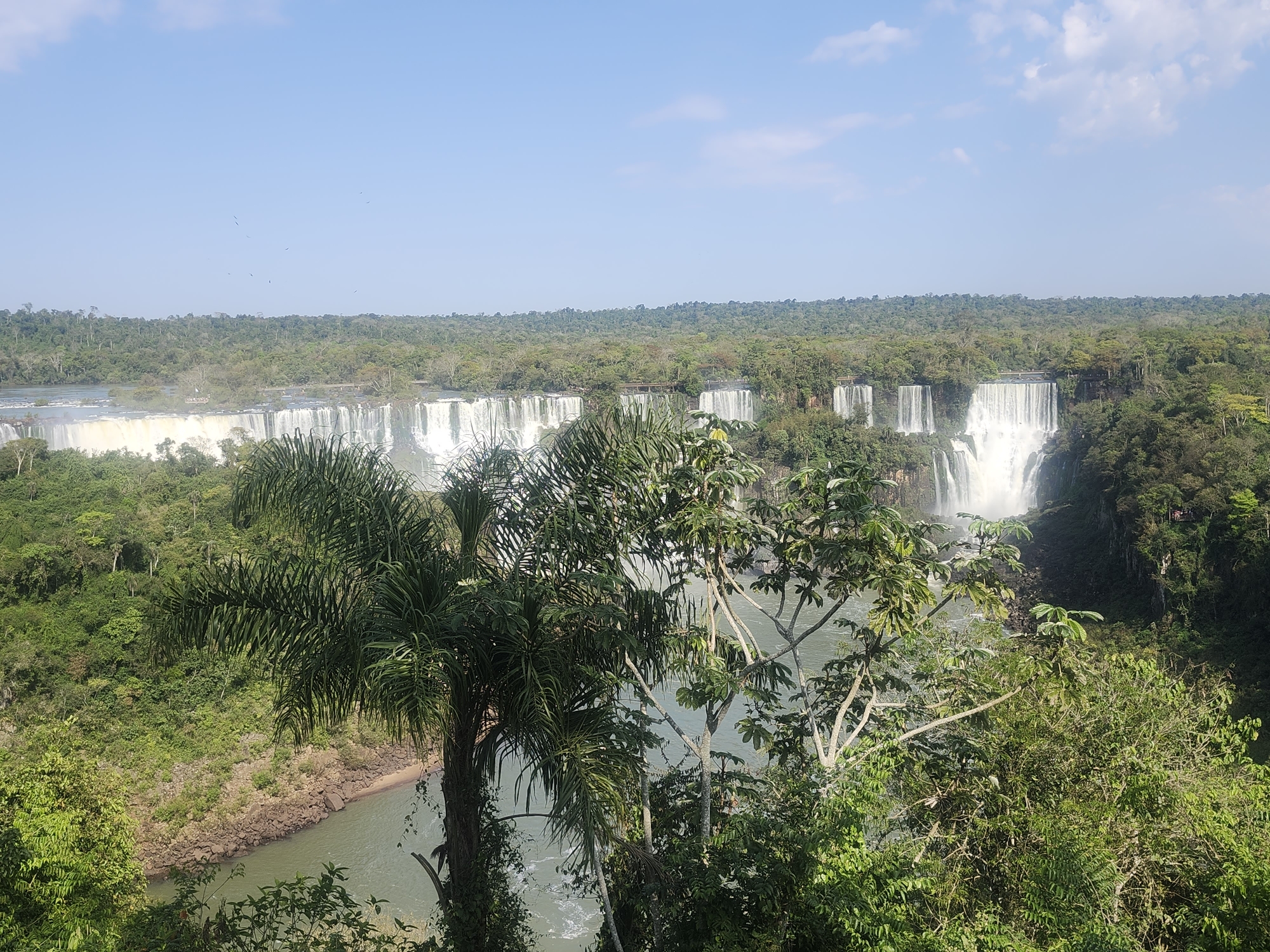 The image depicts a panoramic view of Iguazu Falls, a UNESCO World Heritage site located on the border between Brazil and Argentina, with the Brazilian side primarily shown. In the foreground, lush green foliage and palm trees partially obscure the view of the cascading waterfalls. The water of Iguazu River is visible flowing through the jungle.
In the midground, multiple tiers of waterfalls can be seen stretching across a wide expanse, with white water plunging into the river below. The falls are surrounded by dense green vegetation that covers the cliffs and hillsides. The water in the river appears a murky green, reflecting the surrounding foliage.
In the background, a line of more distant waterfalls continues the formation, framed by a vast expanse of tropical forest. The sky above is a clear blue with a few wispy clouds, and several birds are visible flying in the distance. The overall scene captures the immense scale and natural beauty of Iguazu Falls, highlighting its integration with the surrounding rainforest ecosystem.