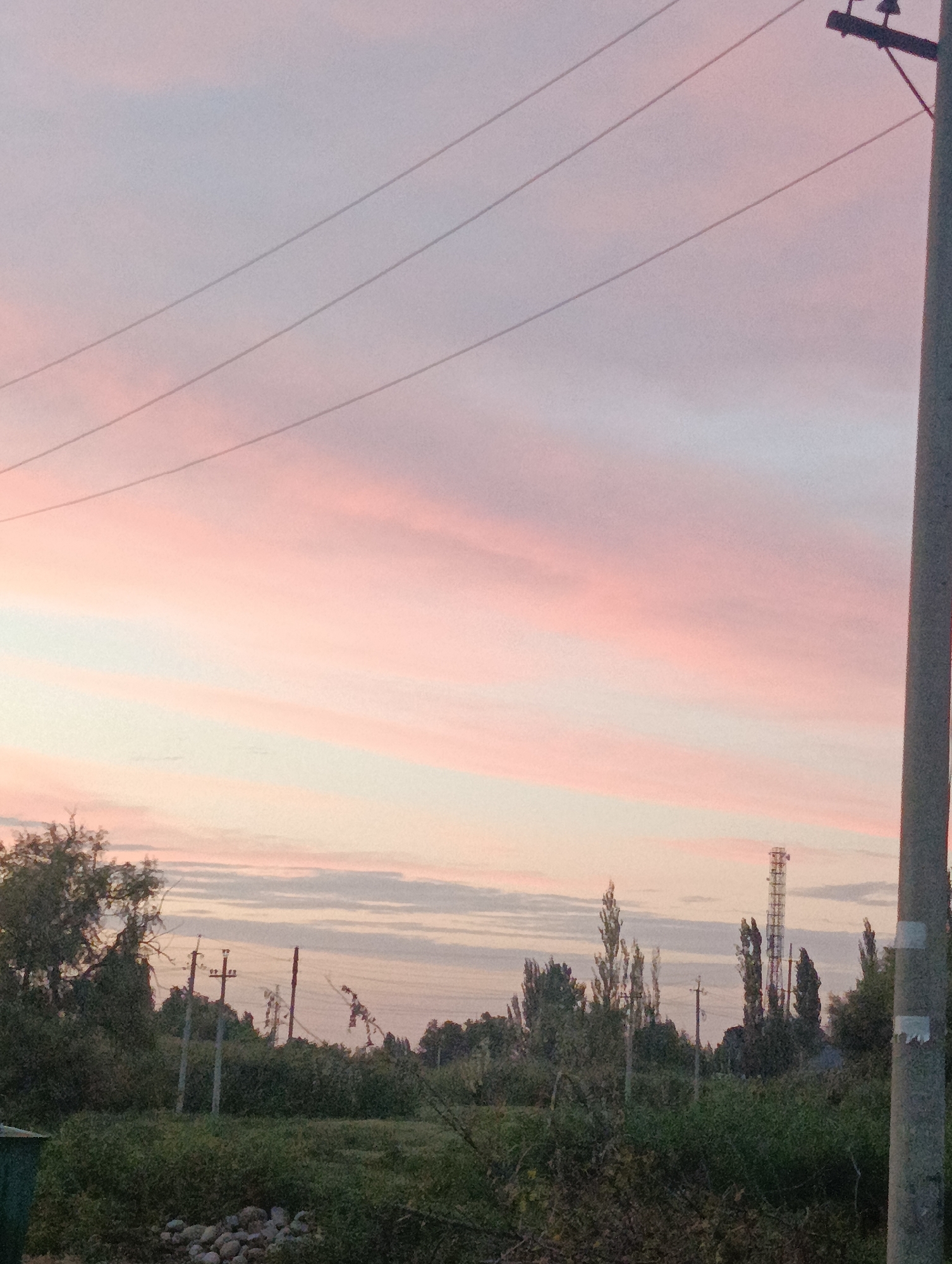 The image shows a landscape scene at dusk, likely in or near Kayıŋdı, Kyrgyzstan. The sky is filled with soft, pastel colors of pink, orange, and pale blue, indicative of sunset or sunrise. Several power lines stretch diagonally across the upper portion of the frame. A utility pole is prominently featured on the right side, with its weathered surface and insulators visible. In the middle ground, a line of trees and vegetation forms a dense, green band. Among the trees, several utility poles with wires can be seen, along with a tall communication tower in the distance. The foreground consists of green foliage and a scattering of rocks. The overall impression is of a rural or semi-rural setting under a dramatic sky. There are no people or animals visible in the image.