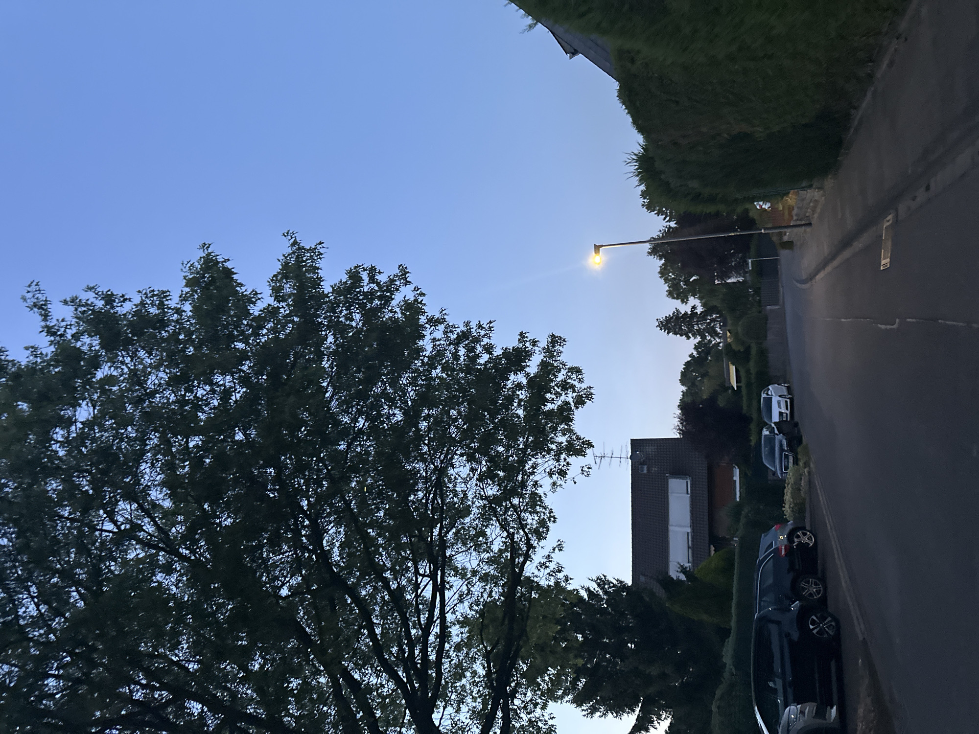 The image depicts a residential street scene in Krefeld, Germany, during twilight. A large tree with dark green foliage dominates the left side of the frame, casting shadows over the scene. The street is paved and curves gently to the right, with parked cars lining the left side. These include a dark SUV, a black Audi sedan, and a white car. On the right side of the street, a well-maintained green hedge runs along the sidewalk. A solitary streetlamp with its light illuminated stands on the right, casting a warm glow on the pavement. In the background, houses with tiled roofs are visible amidst lush trees and shrubs. The sky is a clear, pale blue, indicating the transition from day to night. There are no people visible in the image.