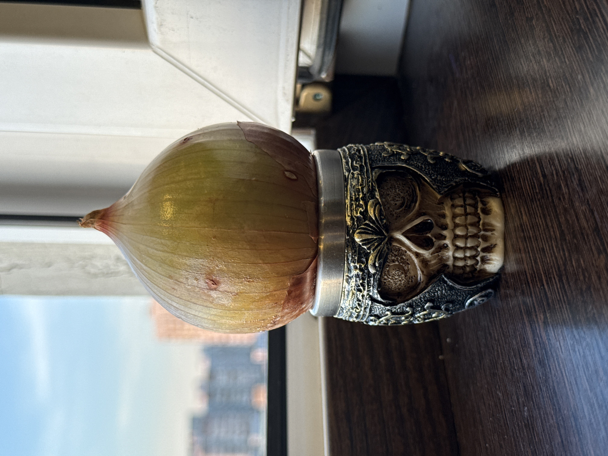 A horizontal image shows an onion inserted into a silver and gold skull-shaped object, resting on a dark wooden surface. The onion's skin is mostly yellow, with some reddish-brown hues near the top. The skull object is intricately designed with detailed carvings. The background includes a window and a view of a city with tall buildings.
