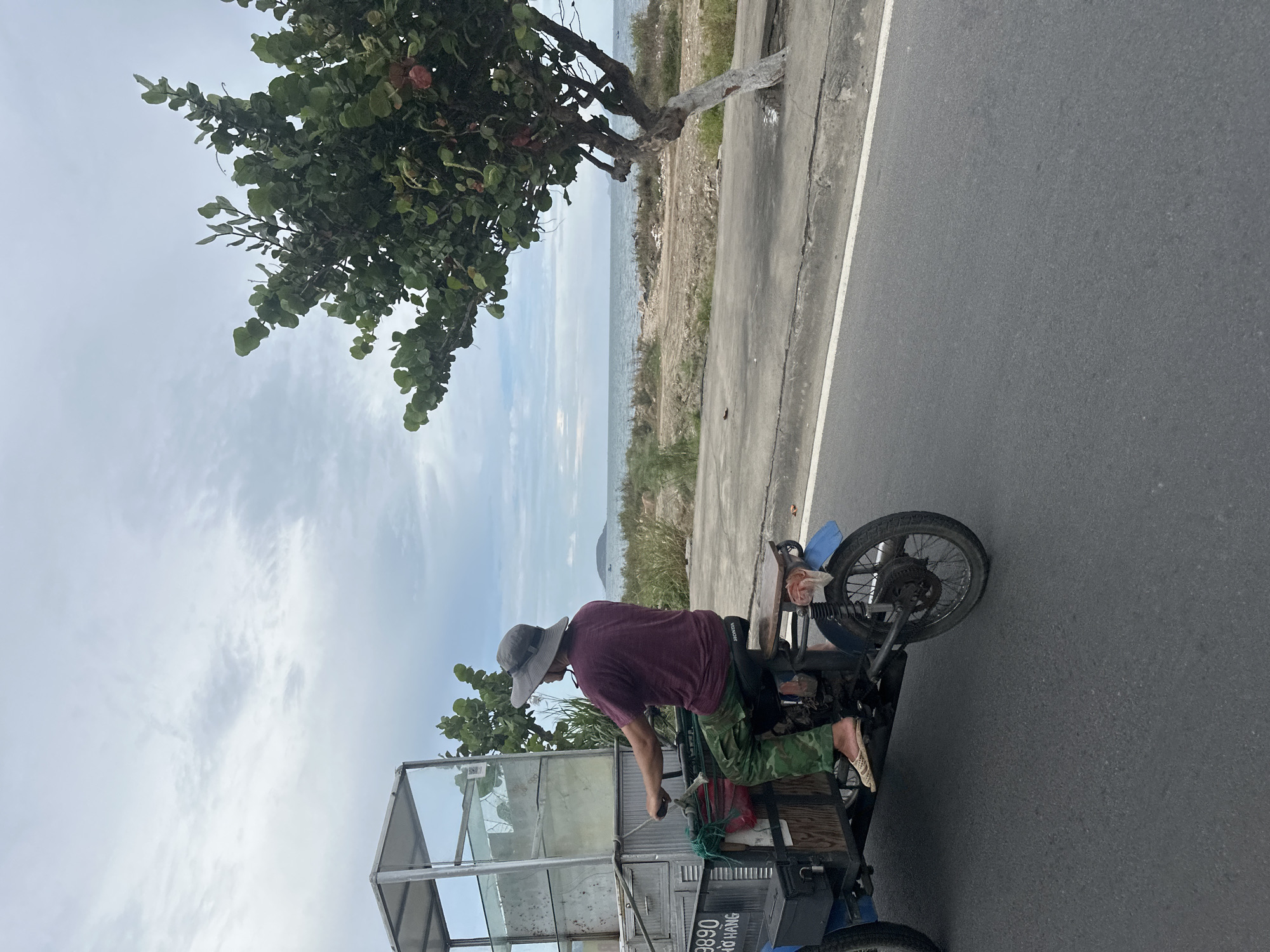 A man in a maroon t-shirt, camo pants, and a wide-brimmed hat is riding a motorized tricycle along a paved road. The tricycle has a glass-enclosed cart attached to the front, possibly for vending. The road is adjacent to a beach with visible vegetation and the ocean. A tree with dense foliage is growing near the road. The sky is overcast. The scene is located in Bac Nha Trang Ward, Vietnam.