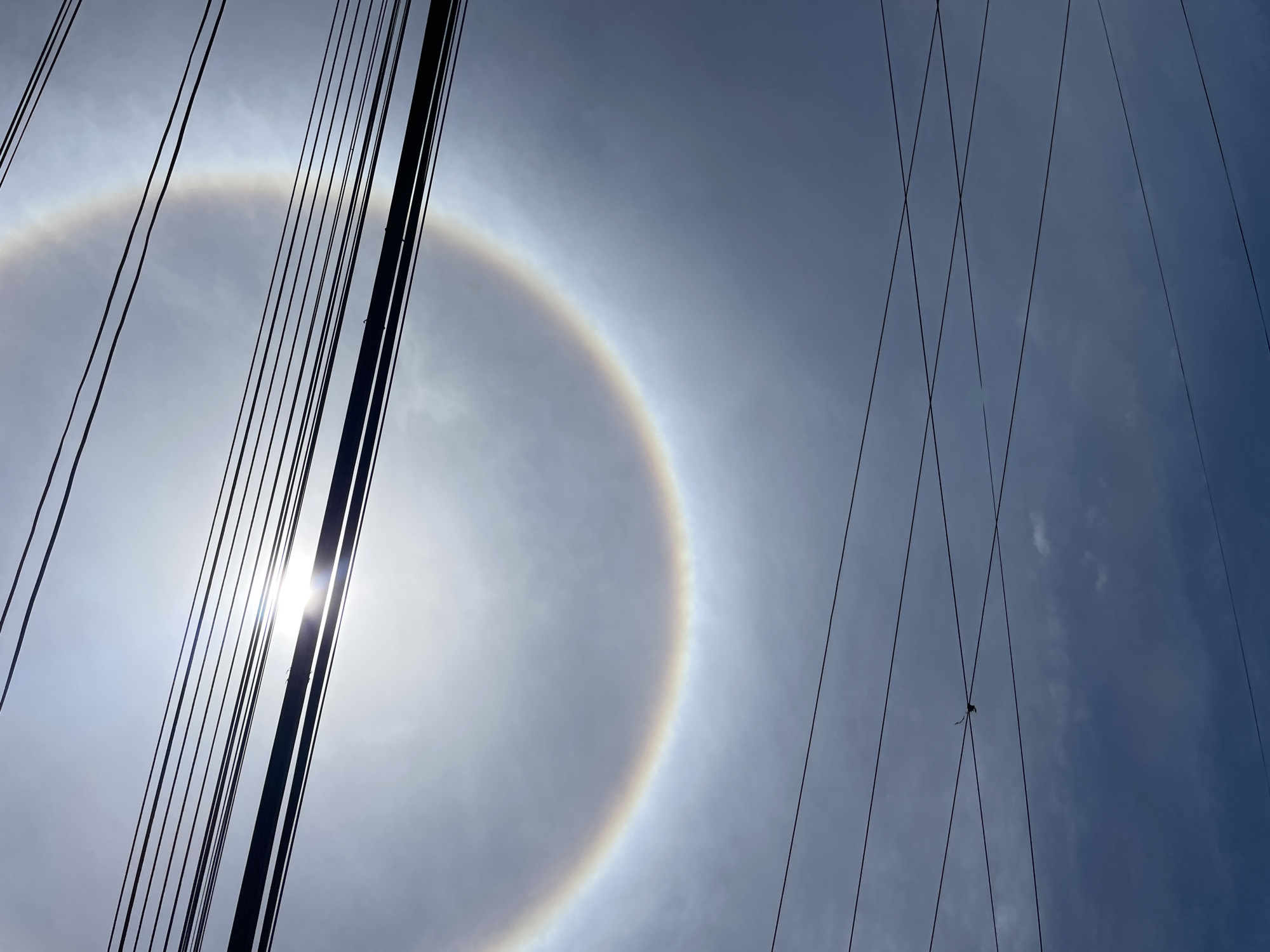 The image shows a sky with a prominent 22° halo around the sun. Power lines are visible in the foreground, some obscuring the sun. One of the power lines appears to have a bird perched on it. The sky ranges from a bright, hazy white-gray near the sun to a slightly darker blue on the right side of the image. The location appears to be Porlamar, Venezuela, given the context of the image. There are no people visible. The main subjects are the atmospheric phenomenon of the halo and the utility infrastructure.
