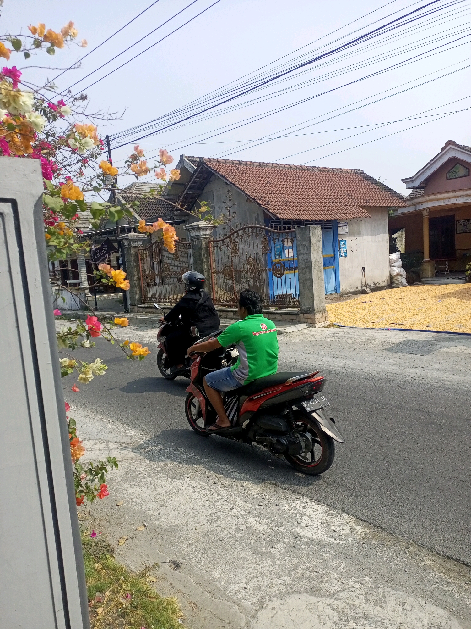In Ngasem, Indonesia, two individuals are riding motorbikes on a paved road. The person in front is wearing a black outfit and a helmet, riding a red and black motorbike. Behind them, another person is riding a red motorbike, wearing a green t-shirt with text and blue shorts, also wearing a helmet. The scene is lined with houses with tiled roofs. In the foreground, vibrant pink, orange, and white bougainvillea flowers cascade from branches, adding a splash of color to the environment. A clear blue sky with visible power lines stretches above the residential area. To the right, a residential building appears to have yellow corn being dried on the ground in front of it. The road surface is a mix of asphalt and concrete.