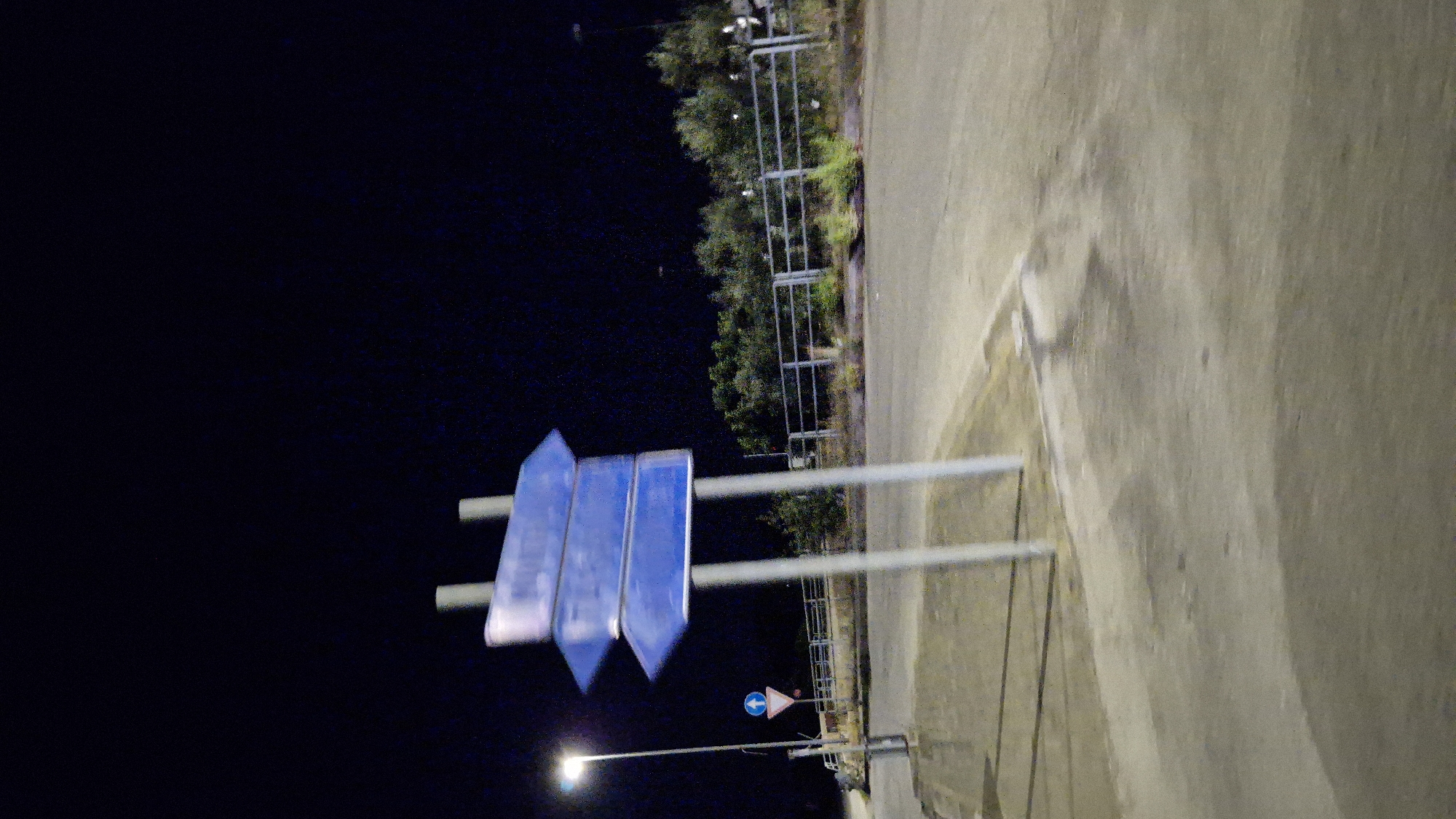 The image depicts a street scene at night in the city of Taranto, Italy. In the foreground, a multi-directional street signpost with three blank blue directional arrows is prominently displayed. The signpost is supported by two grey poles. To the left of the signpost, a street lamp illuminates the immediate area. A small, blue and white circular traffic sign with an upward-pointing arrow is visible further to the left. The ground consists of asphalt and concrete surfaces, with some patchy vegetation and a metal fence in the mid-ground. Beyond the fence, trees form a dense line. The sky is dark, indicating nighttime. The image appears to be taken from a moving vehicle, as evidenced by the motion blur. No people are visible in the frame.