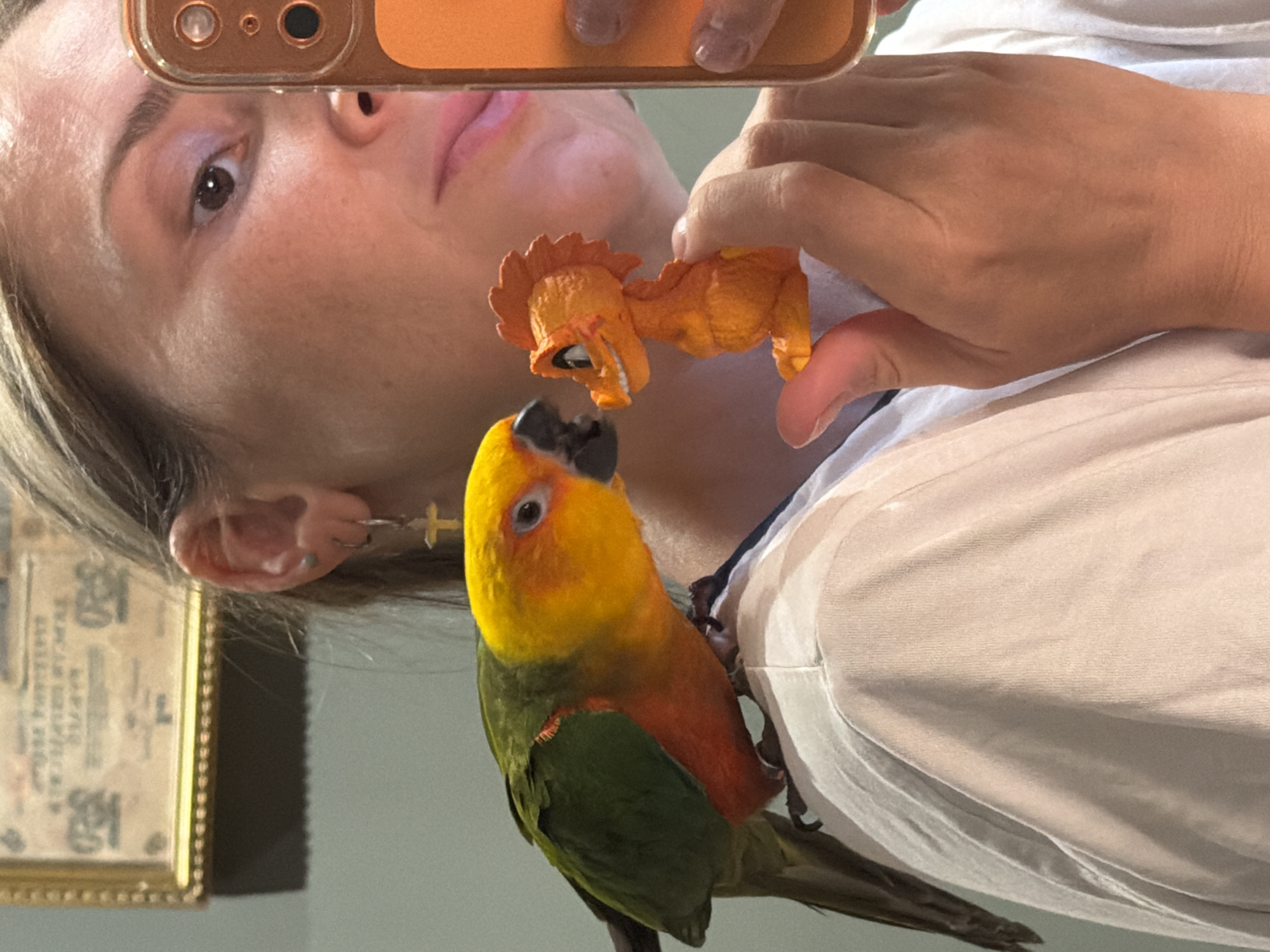 A woman is taking a selfie in a mirrored reflection of herself. A sun conure parrot is perched on her left shoulder. The parrot is looking at a small orange dragon figurine that the woman is holding in her right hand. The woman is wearing a light-colored shirt and a gold cross earring. In the background, there is a framed picture on the wall. The image is cropped such that only the woman's upper body is visible. The scene is indoors.