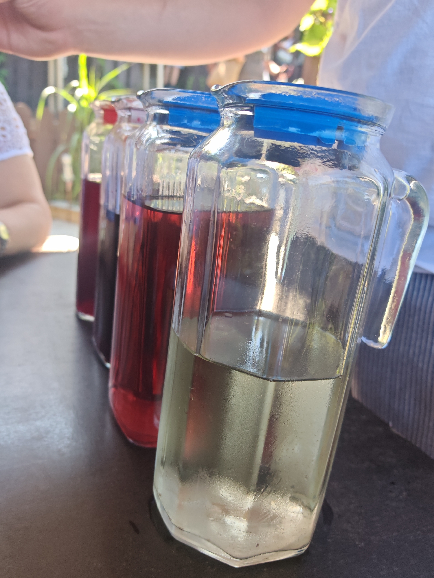 The image shows a row of glass pitchers filled with different colored liquids. The pitchers have blue lids. The foreground pitcher is filled with a pale yellow liquid, and the pitchers behind it contain reddish-purple liquids. The pitchers are lined up on a dark surface, possibly a table. In the background, there are glimpses of greenery and people. The scene appears to be outdoors, possibly in a backyard or garden setting. The location is identified as Varvarovka, Russia.