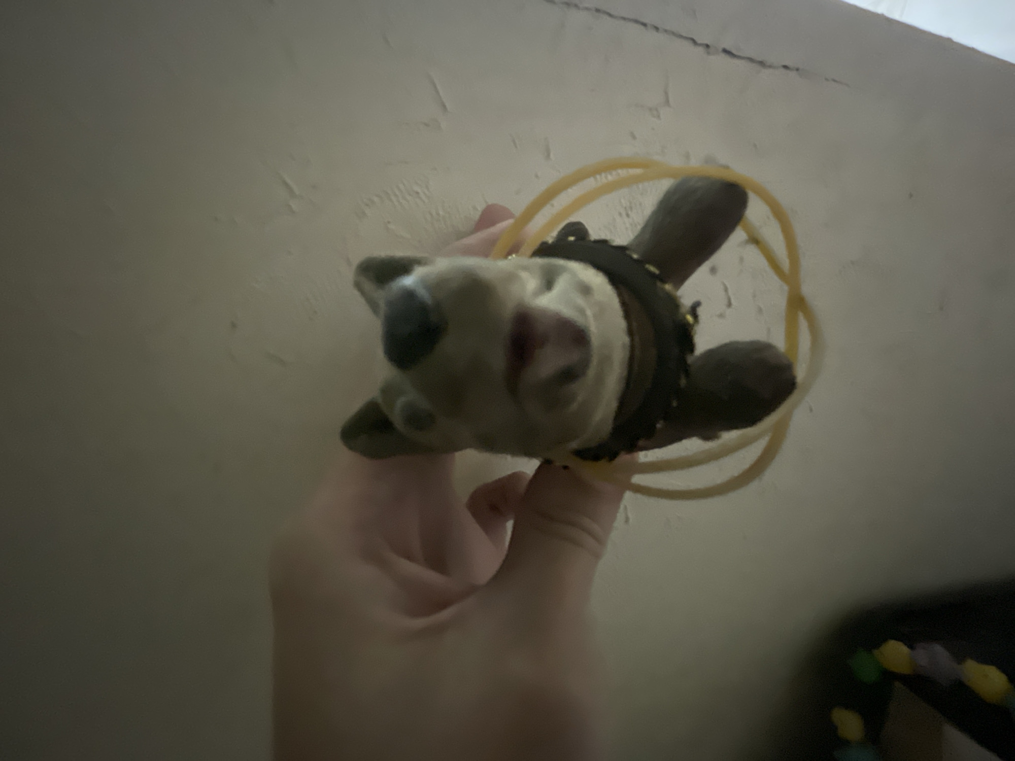 A hand is holding a small, gray stuffed dog toy that has yellow rubber bands around its torso and legs. The dog is facing forward with its mouth open, and it appears to have dark markings around its eyes and nose. The background is a textured, light-colored wall. The image is taken from a low angle, looking up at the toy. There are also some colorful, blurry objects in the bottom left corner of the image, which appear to be some sort of candy or small toys. The location in the city of Bol'shoe Zaborod'e, Russia, is not depicted in the image.