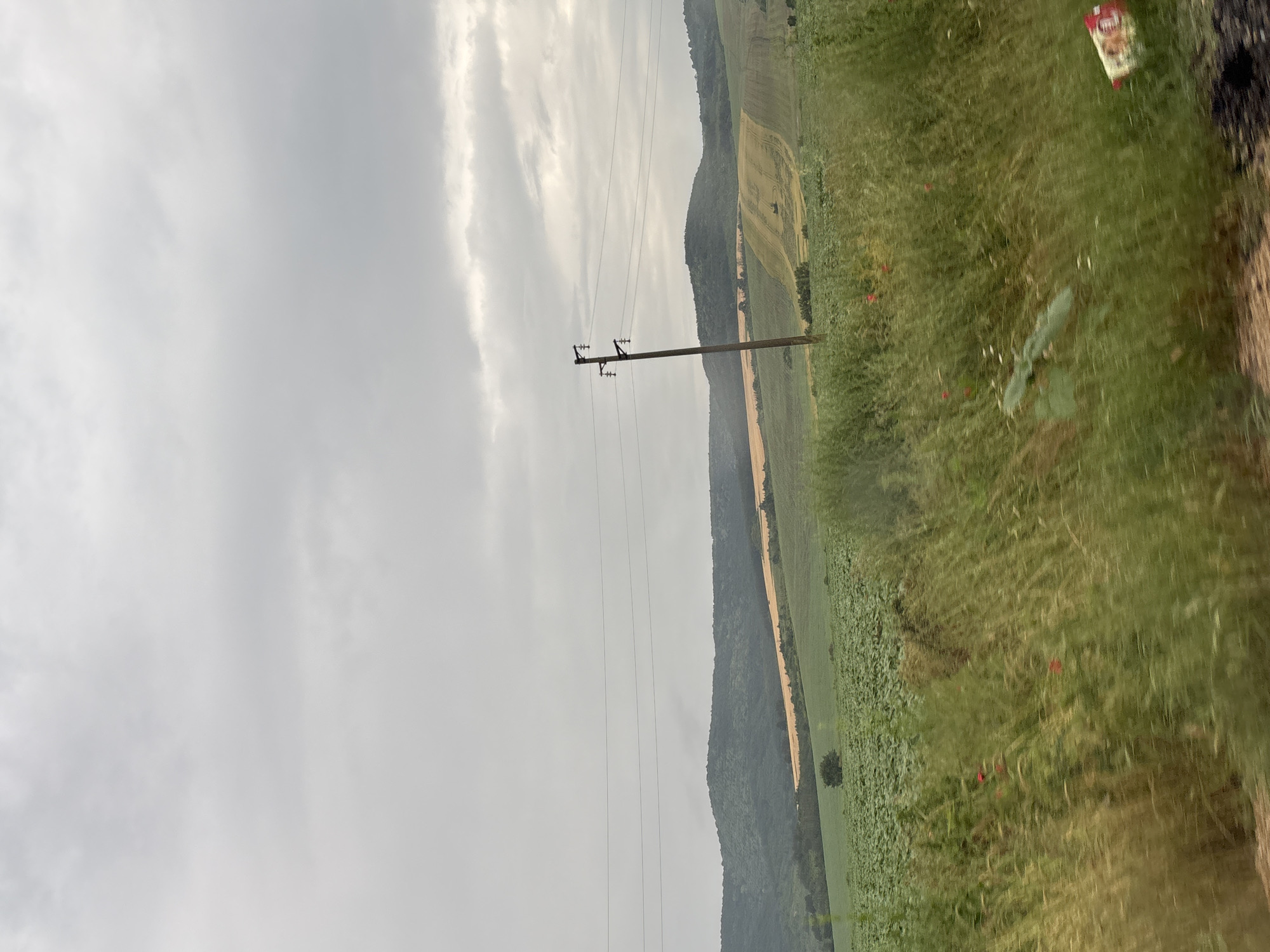 The image depicts a rural landscape under a cloudy sky. In the foreground, tall, blurred green grass with scattered red poppies is visible. A single, brown wooden utility pole stands centrally in the mid-ground, supporting power lines that stretch horizontally across the frame. Behind the pole, rolling hills covered in various crops dominate the landscape. The hills are a mix of green fields, likely with sunflowers, and lighter golden fields, possibly of wheat or barley. A solitary dark green tree is situated in the middle distance on the left. In the background, more hills covered in dense, dark green vegetation recede towards the horizon. The overall impression is of a cultivated agricultural area in the countryside of Komarevo, Bulgaria.