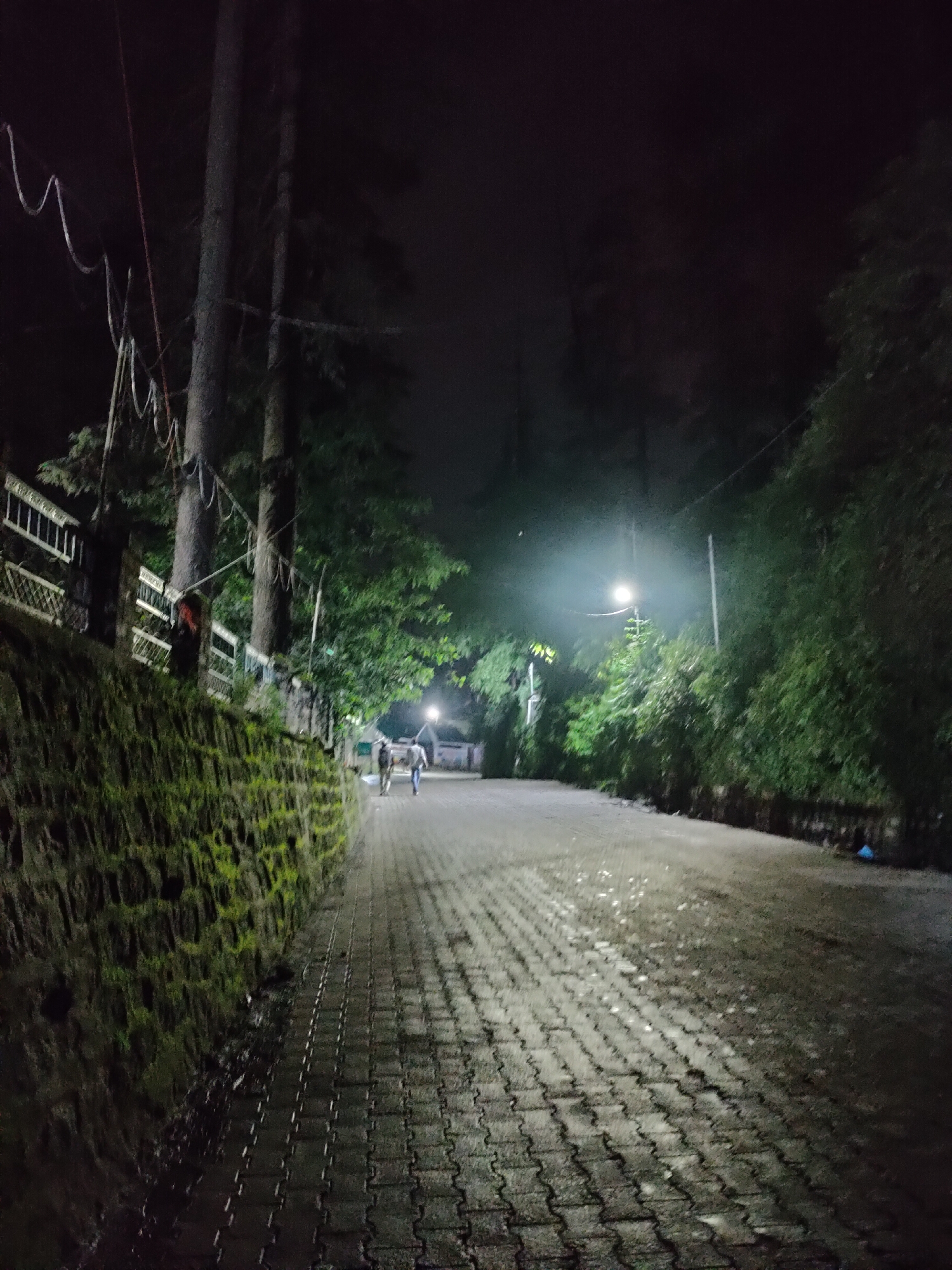 The image depicts a nighttime scene on a paved walkway bordered by a moss-covered stone wall on the left and lush green trees on the right. A street lamp illuminates the walkway, casting a bright glow and creating distinct shadows. Two individuals are visible walking away from the camera on the walkway, one appearing to be a man in a light-colored shirt and dark pants, the other in darker clothing. The walkway is constructed from interlocking rectangular pavers, which appear wet and reflective in places due to the lighting. The stone wall is rugged and covered in green moss, indicating a damp environment. Several tall trees with dark trunks rise above the wall and the walkway, their branches and foliage forming a dense canopy. Overhead, decorative garlands or wires are strung between the trees. In the background, more trees and vegetation are visible, with another faint light source visible further down the path. The overall impression is that of a dimly lit, naturalistic path within a park or a residential area in a hilly or mountainous region. This scene is consistent with a location in Manali, India, a popular hill station known for its natural beauty and forested surroundings.