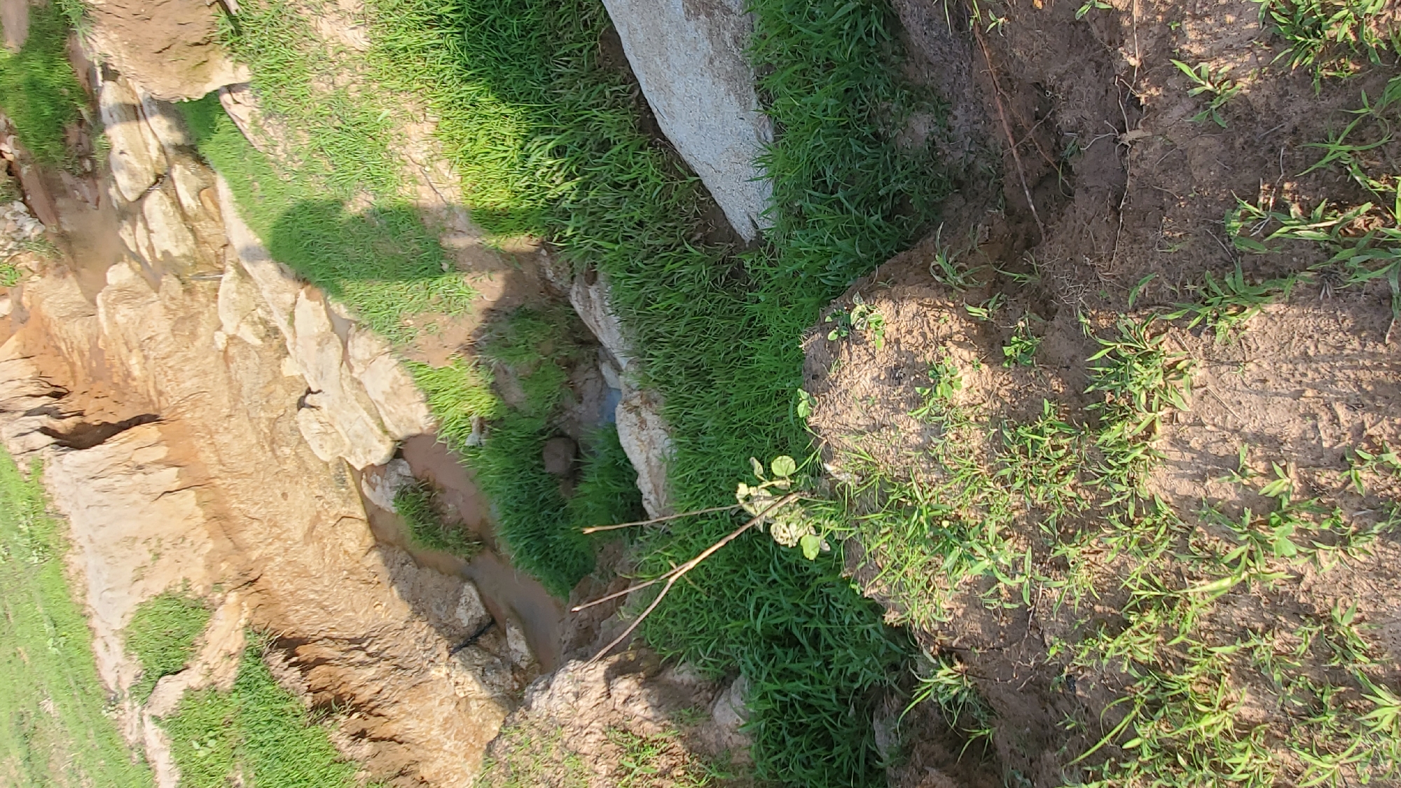 The image shows a natural landscape featuring a shallow, rocky creek bed with eroded earth banks. Green grass and vegetation grow abundantly on the slopes and around the rocks. A shadow of a person is cast on the grassy area, indicating human presence. The overall scene suggests a rural or undeveloped outdoor environment. Without further information, it is impossible to determine the specific location within Jalingo, Nigeria.