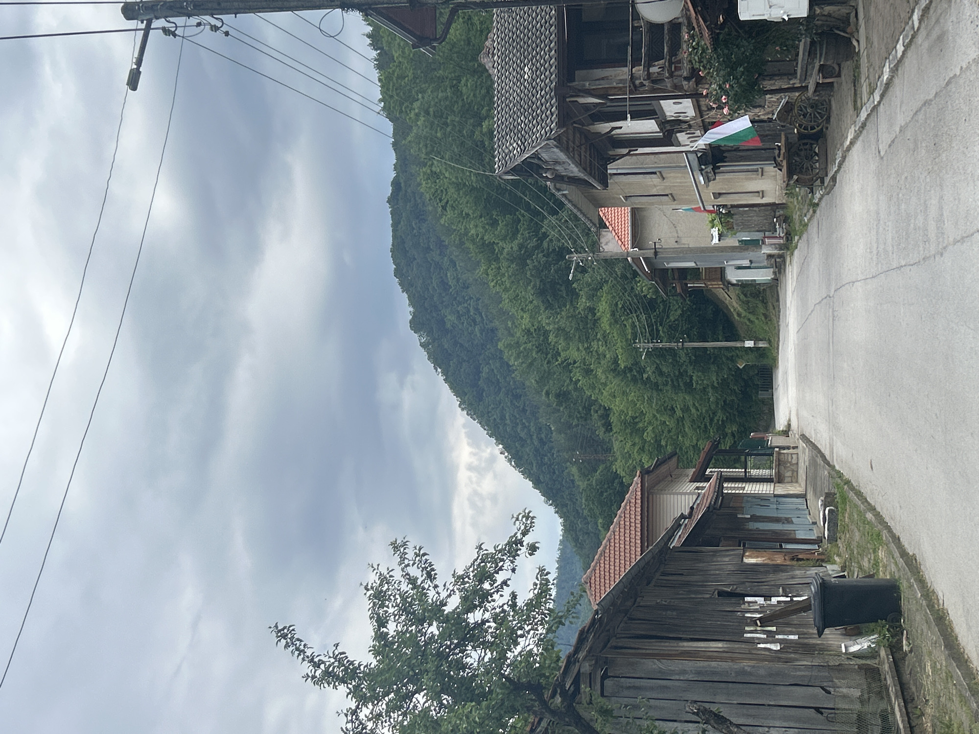 A street scene in an unknown city presents an uphill view with a tree in the foreground on the lower-left and a mountain densely covered with trees to the left. The sky is overcast with gray clouds. On the right side of the street are buildings, some of which appear to be old and constructed from wood, and there's a Bulgarian flag visible. The road is a gray color, and there are power lines stretching across the top-left portion of the frame. The angle of the shot gives a slightly tilted perspective of the surroundings. A black trash receptacle sits near the bottom-right corner beside the road.