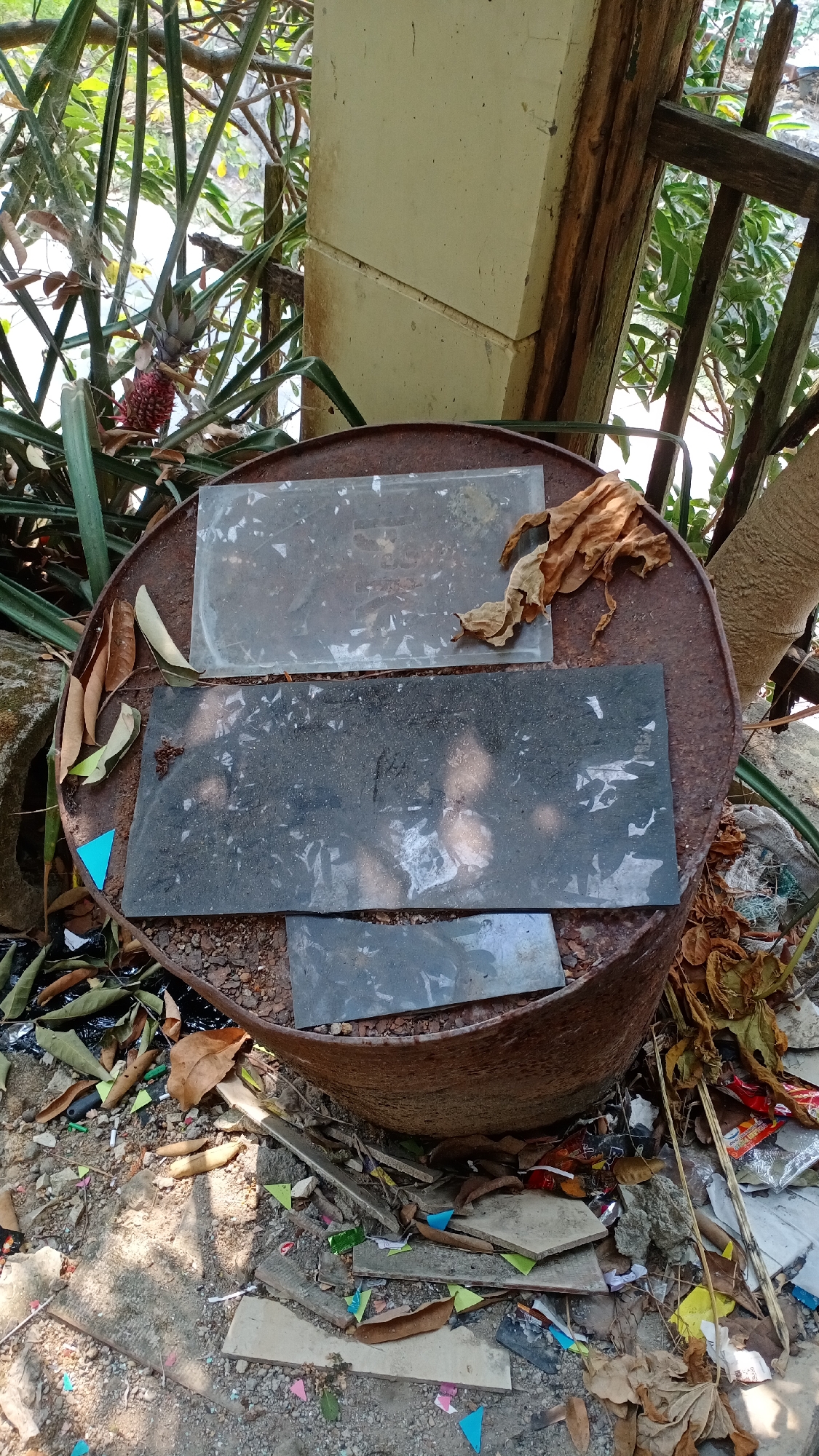 This is a close-up, eye-level, outdoor, daytime, full shot of a rusty, overturned metal drum in Mertan, Indonesia. The drum is filled with debris, including several rectangular pieces of what appear to be glass or plastic, and dried leaves. A small, red pineapple is visible growing from a plant to the left of the drum, partially obscured by palm fronds. Behind the drum, a partially constructed or weathered beige concrete structure is visible, supported by wooden beams. The ground around the drum is covered with dirt, gravel, and more debris, including colorful plastic fragments. The overall scene suggests an outdoor area that is unkempt or undergoing construction. There are no people or animals visible in the image.