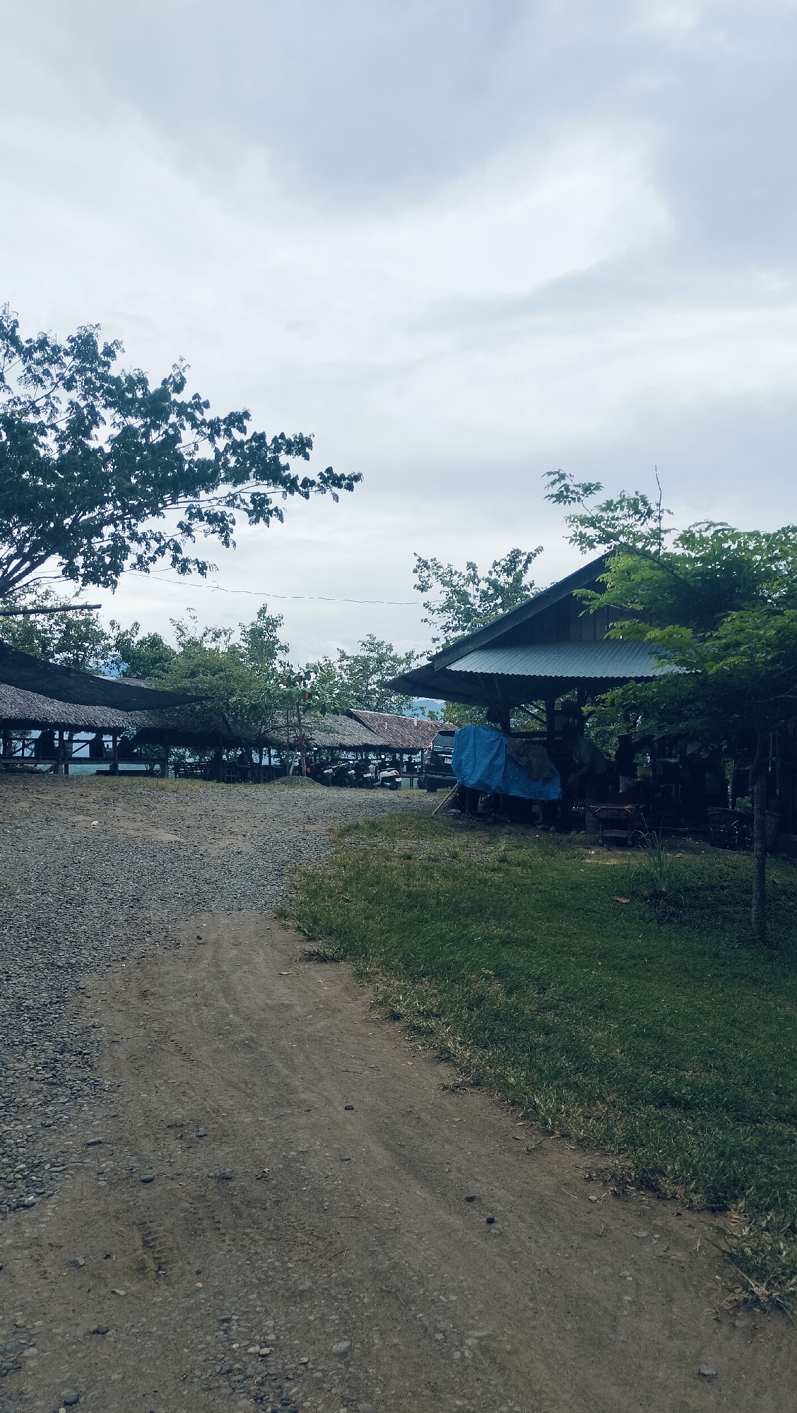This outdoor scene in Lambarotunong, Indonesia, depicts a rustic gathering area under an overcast sky. In the foreground, a dirt path with tire tracks runs alongside a gravel patch on the left and a strip of green grass on the right.
The midground features several open-air structures, likely huts or shelters, arranged along a slight incline. Most of these have dark, possibly thatched or tarp roofs, supported by wooden poles, and are situated in a line. Beyond these, a glimpse of what appears to be a body of water or a distant valley can be seen. On the far right, a larger shed-like structure with a corrugated metal roof is visible, partly obscured by lush green foliage. A bright blue tarp covers something under this shed. Several scooters or motorcycles are parked near the huts, suggesting visitors or residents are present, though no people are clearly visible.
Large, leafy trees frame the upper left and right sides of the image, contributing to the natural, verdant setting. The sky is largely covered by soft, grey clouds, indicating an overcast day. The overall impression is one of a simple, functional outdoor space, possibly a local eatery or resting area, with a quiet and serene atmosphere. There is no visible text in the image.