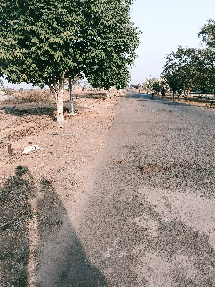 The image depicts an outdoor scene in Rafin Pa, Nigeria, featuring an asphalt road extending into the distance under a clear, bright sky. To the left of the road, a dry, dusty dirt shoulder is visible, populated by several trees with light-colored trunks and dense green leaves. Two slender light-colored poles are positioned among these trees. On the dirt shoulder in the foreground, a piece of white debris and a small, dark cylindrical object are present. Two distinct human shadows are cast onto the lower-left dirt, indicating the photographer's position.
Four pedestrians are observed on the road in the mid-distance. Two individuals walk abreast on the right side of the road, one in dark clothing, the other lighter. Further ahead, a solitary figure wearing a reddish top walks on the road. Another indistinct figure is visible further along the right side, near a cluster of trees. The asphalt road shows signs of wear, including cracks and darker patches. Structures and additional trees are visible in the background, suggesting a semi-urban or rural environment.