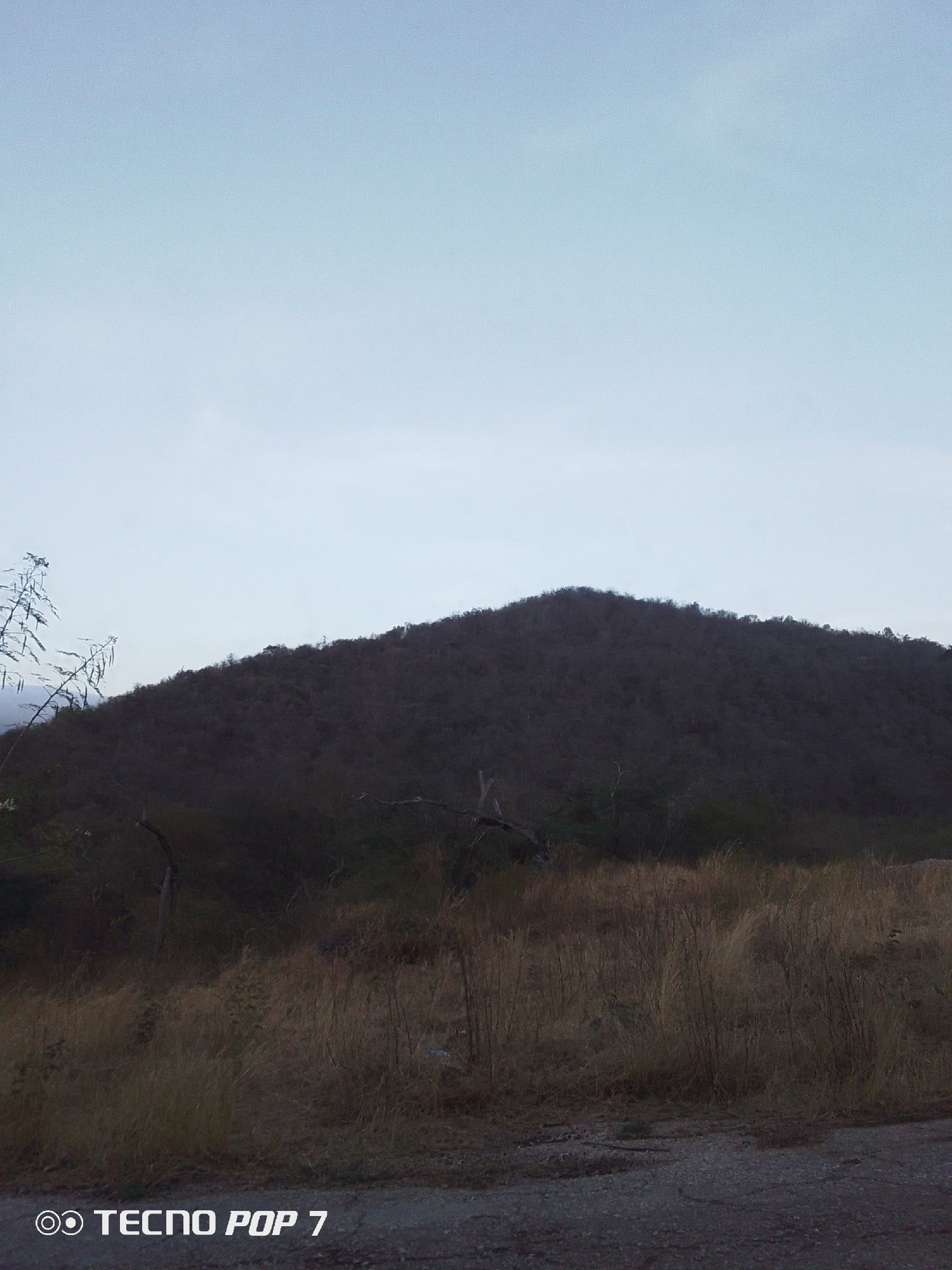 The image depicts a landscape in Altagracia, Venezuela. The scene includes a low, dark-colored hill or mountain in the background, extending across the midground. In the foreground, there's dry, yellowish-brown grassland, likely indicating a dry season or arid climate. The sky is overcast or dusk, with a light blue-gray tone. A faint object on the left of the image resembles a tree branch. The ground in the immediate foreground appears to be a rough or unpaved road surface. The watermark "TECNO POP 7" is visible in the bottom-left corner.