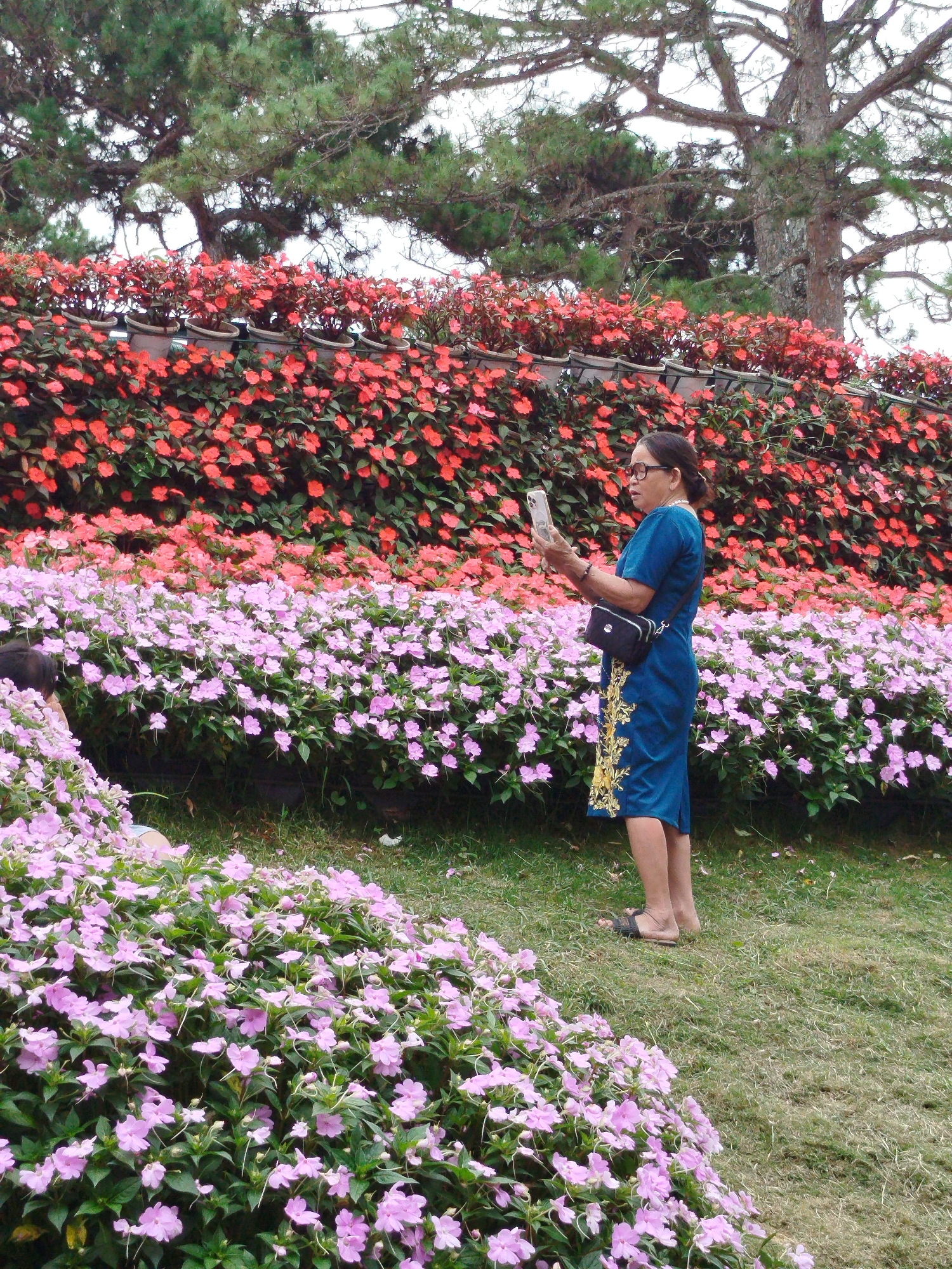 A woman in a blue dress stands in a garden, holding a phone and taking a picture. She is wearing glasses and a black purse is slung over her shoulder. The garden is filled with pink and red flowers, and trees are visible in the background. The image appears to have been taken in Phường Xuân Hương - Đà Lạt, Vietnam.