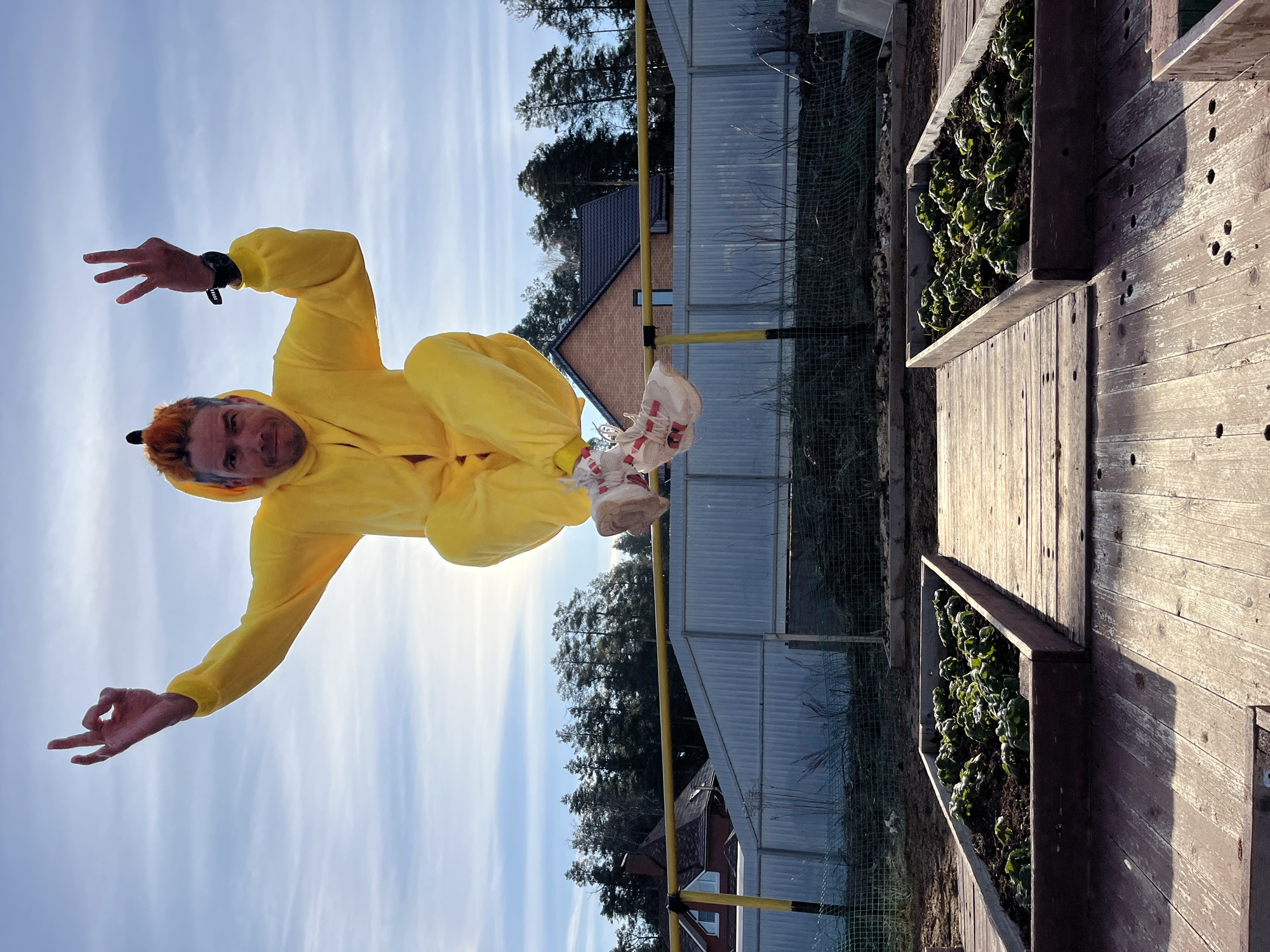 This media file depicts an adult male in an outdoor setting, likely in Chaikovsky, Russia, performing a dynamic jump or acrobatic pose. The man, with reddish-orange hair and a short beard, is wearing a bright yellow full-body suit (kigurumi or onesie), reminiscent of a character like Pikachu, complete with ears on the hood. He is also wearing light-colored sneakers with red details and a black smartwatch on his left wrist.
The man is captured mid-air, positioned horizontally against a bright, partly cloudy sky. His left hand is held open with fingers spread, while his right hand forms a circular gesture. He looks towards the camera with a focused expression.
The scene appears to be a backyard or garden. In the foreground, two rustic wooden raised garden beds are visible, filled with vibrant green leafy plants. Behind the man, a yellow metal bar stretches across the mid-ground. Further back, there is a light-colored corrugated metal fence and a dark green mesh fence. In the background, a brick house with a dark roof and a small window is visible, partially surrounded by coniferous trees.
The image was taken during daytime under sunny conditions with a few wispy clouds. The lighting suggests it could be morning or late afternoon. There is no visible text in the image.