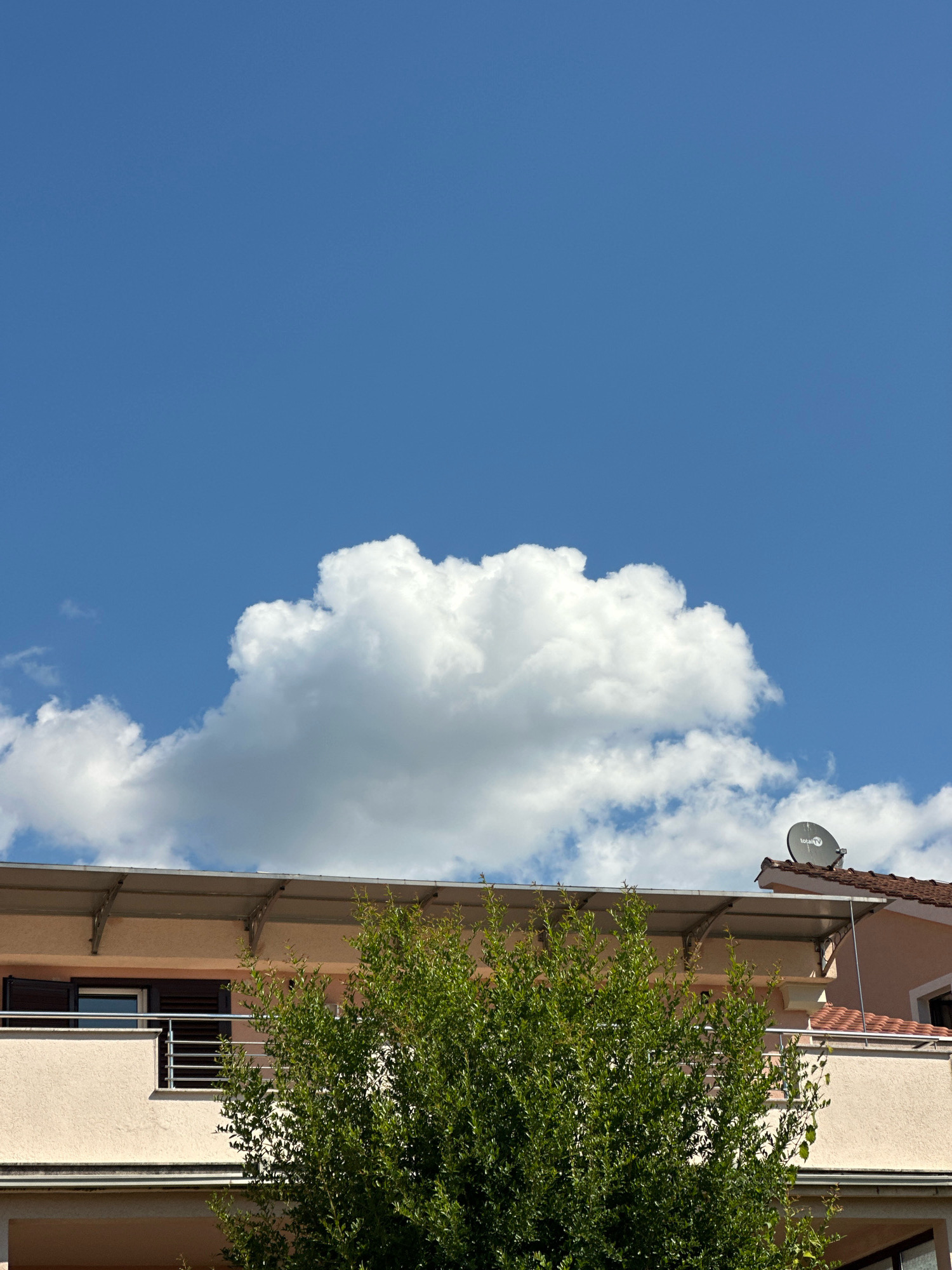 A bright, sunny day is depicted in this image, with a large, fluffy white cloud dominating the center of the clear blue sky. Below the cloud, the upper floors of a residential building are visible. The building has a pale peach-colored facade, with a balcony featuring a silver railing and a window with dark brown shutters. A lush green tree with dense foliage partially obscures the balcony and the building's upper section. On the roof of the building to the right, a dark satellite dish with a white logo is mounted. The overall scene suggests a residential area in the city of Budva, Montenegro, given the architectural style and presence of a satellite dish commonly used in the region. There are no people visible in the frame.