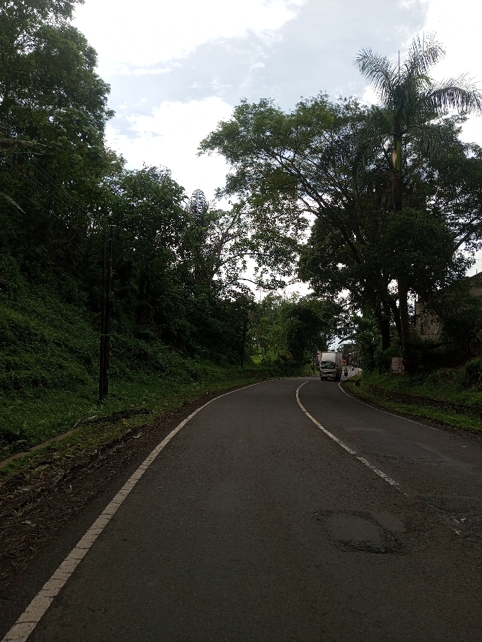 The image displays a two-lane asphalt road curving gently to the right, located in Domphoog_Dungkarchhoeling, Bhutan. The road surface is dark grey with a solid white edge line on the left and a broken white center line that transitions to solid near the curve. Two distinct potholes are present in the foreground and mid-ground of the right lane.
To the left, a steep, densely vegetated embankment rises, covered in green shrubs and trees. A dark utility pole is visible against this embankment. High above the road, within the tree canopy on the left, a large, spherical, lattice-like structure, consistent with a communications antenna or similar equipment, is clearly visible.
The right side of the road features a mix of green foliage, including several large trees and a tall palm tree. Further down the curve, through the trees, partial views of structures, possibly buildings, are discernable. A rectangular white sign with red lettering is partially visible on the right roadside.
A white box truck is observed driving towards the viewer in the right lane, navigating the curve. Behind and slightly to the right of the truck, a smaller, unidentified vehicle, possibly a motorcycle, is partially visible. The sky is partly cloudy, and the overall environment is verdant and hilly.