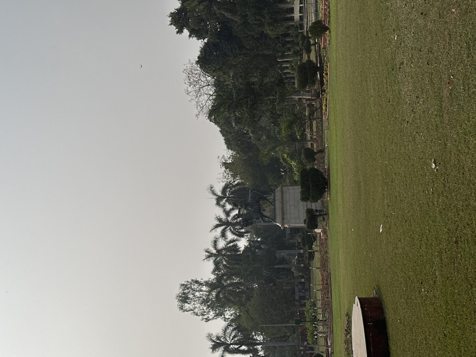 The image depicts an outdoor scene within Sayaji Baug (Kamati Baug) in Vadodara, India. An equestrian statue, identified as Maharaja Sayajirao Gaekwad III, stands prominently in the mid-ground. The statue, appearing to be crafted from a dark material consistent with bronze, features a male figure on horseback, positioned atop a multi-tiered, light-colored stone pedestal. The foreground is composed of a broad, green grass lawn, with a partial view of a low, circular, reddish-brown concrete border or planter in the lower-left. Surrounding the base of the statue are manicured garden beds, delineated by a low metal fence and incorporating trimmed green hedges and shrubs. The background consists of a dense array of mature trees, including numerous tall palm trees and other broadleaf species. The sky is a uniform, light gray, indicating an overcast or hazy condition, with a small, dark bird visible in flight in the upper-right quadrant. No human figures are present. Minor white debris is scattered on the grass in the foreground.